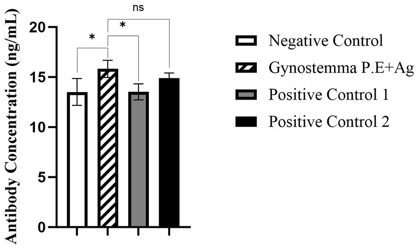 Bar graph showing antibody concentration in nanograms per milliliter for four groups: Negative Control (open bar), Gynostemma P.E+Ag (striped bar), Positive Control 1 (gray bar), and Positive Control 2 (black bar). Gynostemma P.E+Ag shows the highest concentration. Asterisks indicate significant differences (*), while “ns” denotes non-significance.