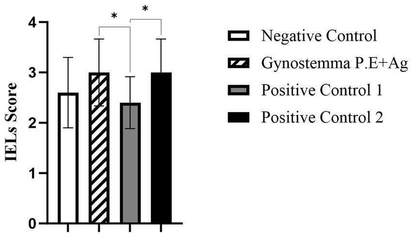 Bar graph showing IELs scores for four groups: Negative Control, Gynostemma P.E+Ag, Positive Control 1, and Positive Control 2. Bars range from approximately 2 to 3.5, with Gynostemma P.E+Ag and Positive Control 2 showing higher scores. Asterisks indicate statistically significant differences between groups.