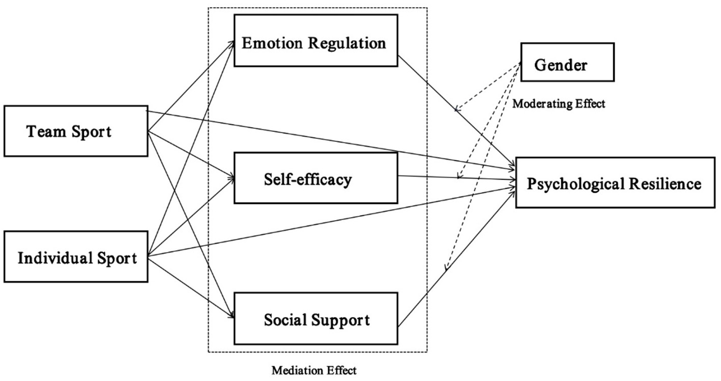 Flowchart depicting relationships between variables. Team Sport and Individual Sport influence Psychological Resilience through mediation effects of Emotion Regulation, Self-efficacy, and Social Support. Gender acts as a moderating effect on Psychological Resilience. Solid lines indicate direct effects; dashed lines indicate interaction effects.