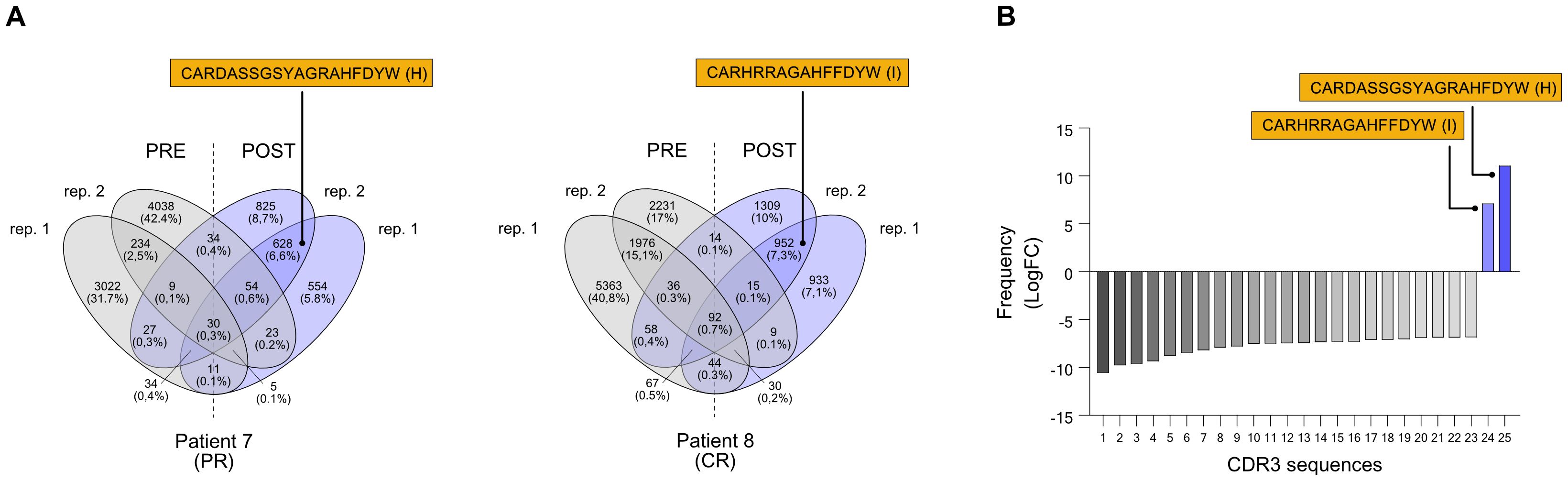 Venn diagrams and bar chart depicting data from two patients, labeled A and B. Part A shows Venn diagrams of pre and post-replicates of CDR3 sequences for Patient 7 and Patient 8. Part B is a bar chart showing frequency changes (LogFC) of specific CDR3 sequences, highlighting two sequences with increased frequency post-treatment. The titles of sequences CARDASSGSYAGRAHFDYW and CARHRRAGAHFFDYW are highlighted above the diagrams and chart.