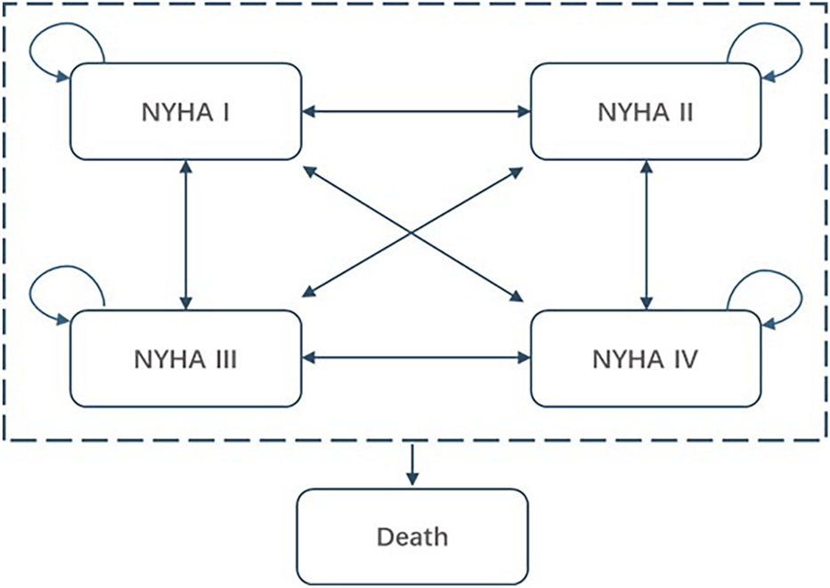 Flowchart illustrating transitions between NYHA classes I, II, III, and IV, with bidirectional arrows between them. Each class has a looped arrow indicating possible self-transition. An arrow leads from each class to "Death."