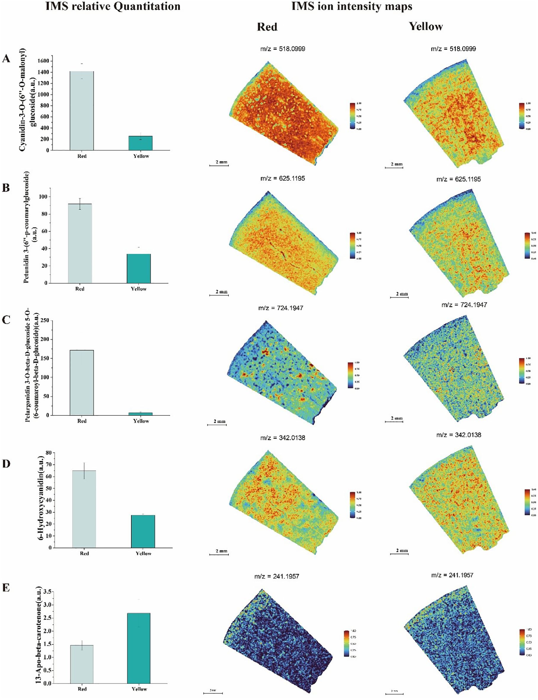 Graphs and ion intensity maps comparing red and yellow specimens. Left: bar graphs labeled A to E show higher values for red, with varying compounds. Right: corresponding ion intensity maps depict color-changes across m/z values for each compound, with red areas indicating higher intensities.