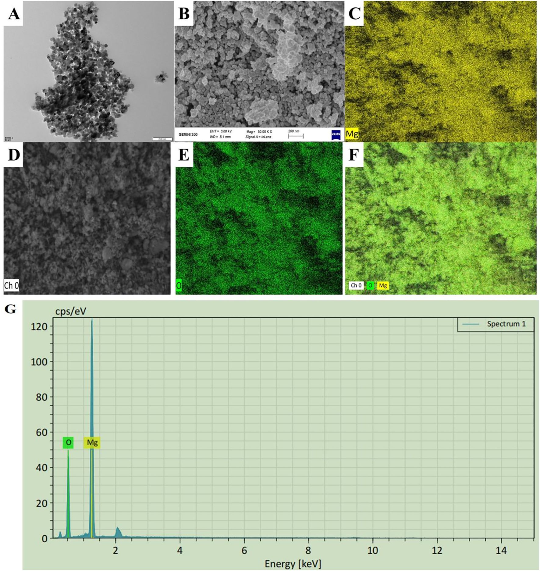 Composite image featuring multiple panels: A shows a cluster-like structure in grayscale. B displays a detailed view of a textured surface at a magnification level, labeled with measurement details. C and E show element maps highlighting magnesium in yellow and oxygen in green, respectively. D is a grayscale channel image labeled “Ch 0”. F combines the maps of magnesium and oxygen. G is a graph, an energy-dispersive X-ray spectroscopy spectrum identifying peaks for oxygen and magnesium at specific energy levels.