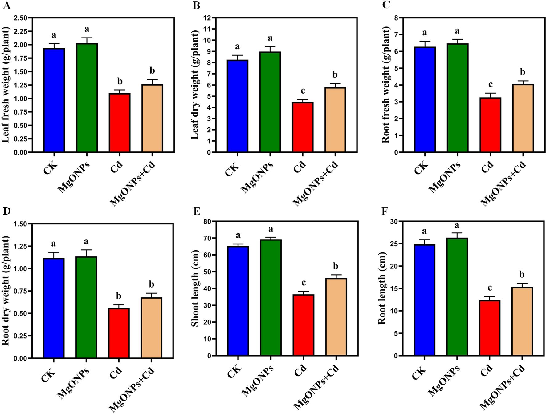 Bar graphs labeled A to F compare four treatments: Ck, MgONPs, Cd, MgONPs+Cd. Metrics include leaf fresh weight, leaf dry weight, root fresh weight, root dry weight, shoot length, and root length. MgONPs generally show higher values, while Cd and MgONPs+Cd show reduced values. Bars are marked with different letters (a, b, c) indicating statistical significance.