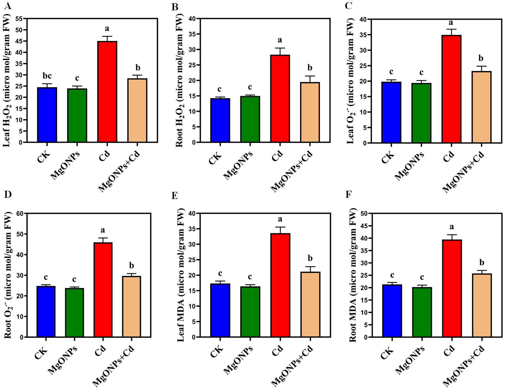 Bar charts labeled A to F illustrate biochemical measurements in plant tissues. Each chart compares four treatments: CK, MgONPs, Cd, and MgONPs+Cd. Chart A and B show hydrogen peroxide levels in leaves and roots, respectively. Chart C and D display superoxide levels in leaves and roots. Chart E and F represent malondialdehyde levels in leaves and roots. The Cd treatment consistently shows the highest values, while MgONPs+Cd shows slightly lower values than Cd alone. CK and MgONPs display similar, lower values. Different letters indicate statistical significance.