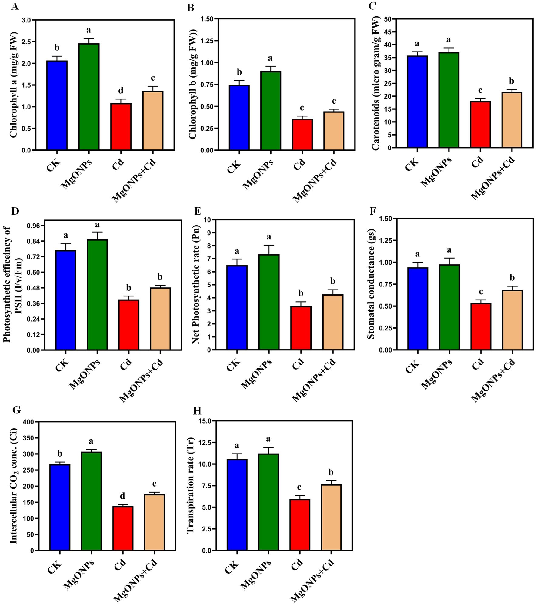 Grouped bar charts labeled A to H detail various plant physiological responses under four conditions: CK, MgONPs, Cd, and MgONPs+Cd. Metrics include chlorophyll a (A), chlorophyll b (B), carotenoids (C), photosynthetic efficiency of PSII (D), net photosynthetic rate (E), stomatal conductance (F), intercellular CO2 concentration (G), and transpiration rate (H). Each chart shows variance in measured values, with significant differences indicated between conditions.