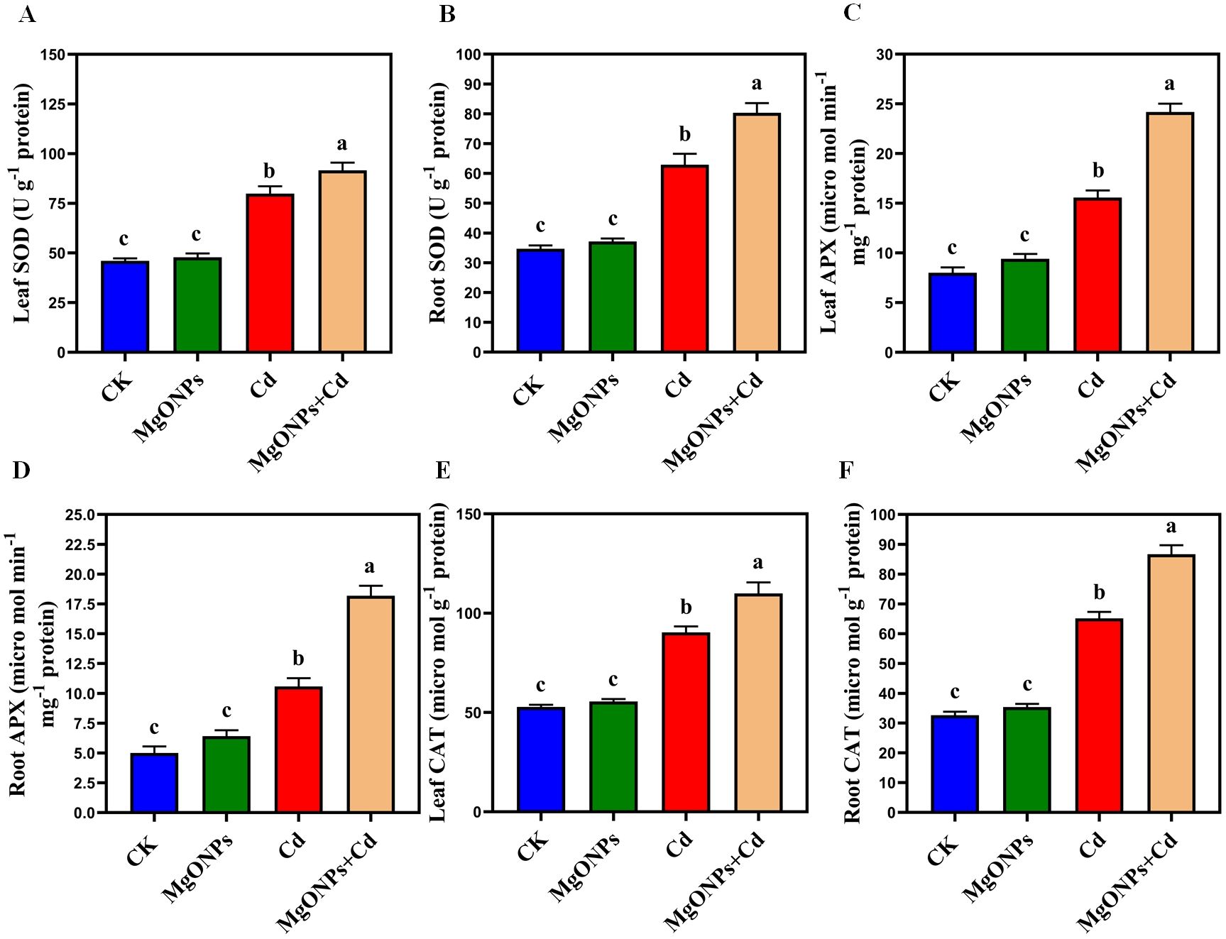 Bar graphs labeled A to F display enzyme activity in leaves and roots under different treatments: CK, MgONPs, Cd, and MgONPs+Cd. Graphs A and B show SOD activity, C and D show APX activity, and E and F show CAT activity. In each graph, activity generally increases from CK to MgONPs+Cd, with MgONPs+Cd showing the highest activity across all enzymes. Each treatment group has standard error bars and letters indicating statistical significance.