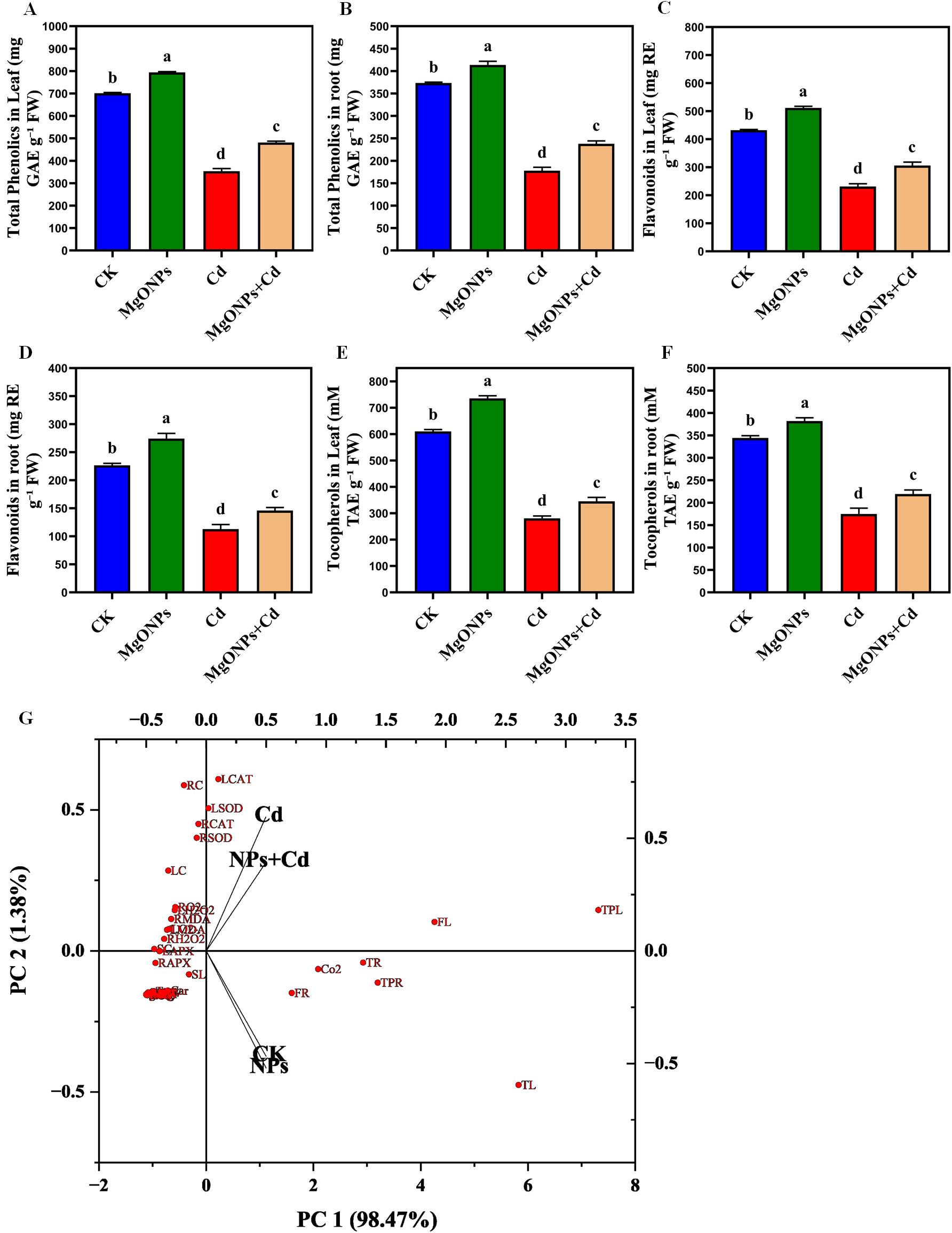 Bar charts labeled A to F show various biochemical measurements across four treatments: CK, MgONPs, Cd, and MgONPs + Cd. Measurements include phenolics, flavonoids, and tocopherols in leaves and roots. Significant differences are indicated by different letters above bars. Below, G is a Principal Component Analysis (PCA) plot showing distribution of variables such as phenolics and flavonoids based on PC1 and PC2, which explain 98.47% and 1.38% of variance respectively, across the treatments. The vectors represent different biochemical indices and their contribution to the PCA axes.