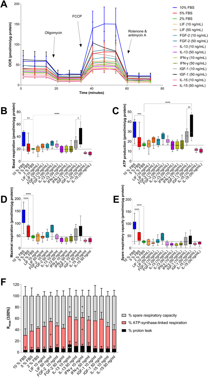Panel A shows a line graph of oxygen consumption rates (OCR) over time with various conditions, highlighting effects of oligomycin, FCCP, and rotenone with antimycin A. Panels B to E present box plots comparing basal respiration, ATP production, maximal respiration, and spare respiratory capacity under different conditions. Panel F is a bar chart displaying percentages of spare respiratory capacity, ATP-synthase-linked respiration, and proton leak. Each panel includes labels for different treatment groups in response to serum concentration and GFs and CKs supplementation at two different concentrations indicated by lines or bars in various colors. Statistical significance is shown with asterisks.