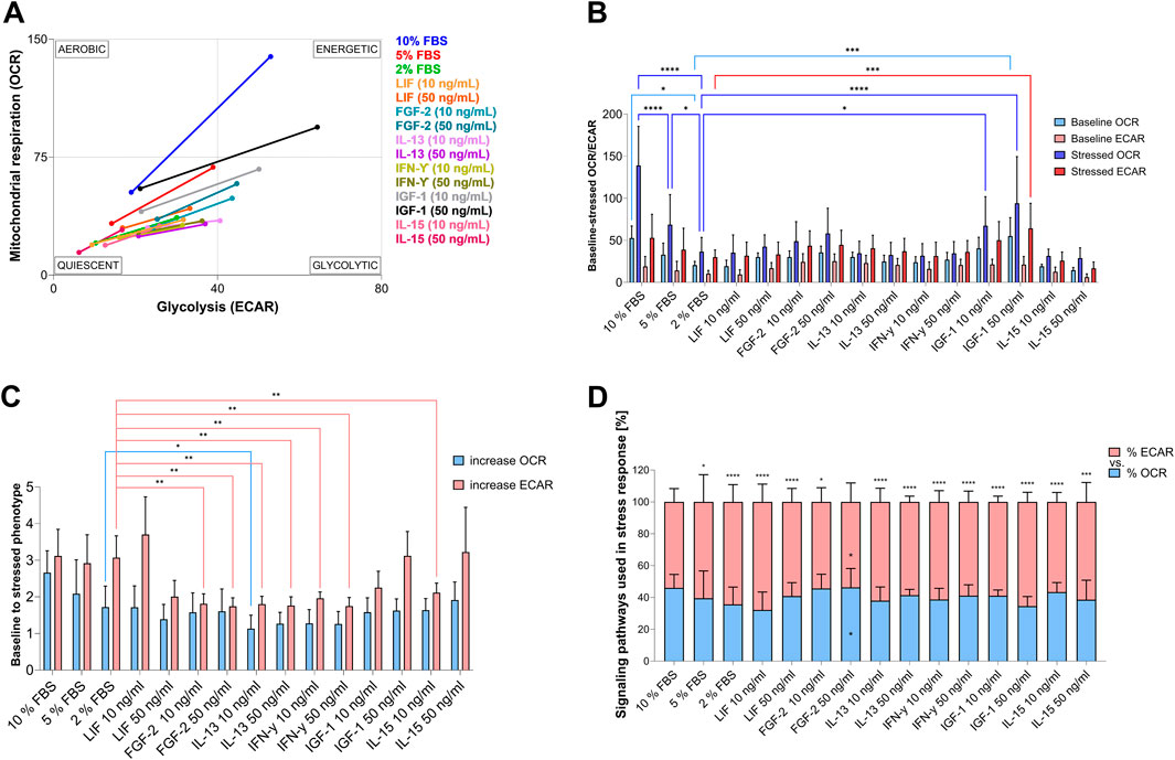 Panel A shows a scatter plot of mitochondrial respiration OCR versus glycolysis ECAR, highlighting shifts from quiescent to energetic states. Panel B presents bar graphs comparing baseline and stressed OCR and ECAR across different conditions, with significant differences indicated. Panel C shows baseline to stressed phenotype ratios bar graph. Panel D displays a bar graph of signaling pathways used in stress response, showing percentages of ECAR and OCR across various treatments. Each panel includes labels for different treatment groups in response to serum concentration and GFs and CKs supplementation at two different concentrations indicated by lines or bars in various colors. Statistical significance is shown with asterisks.
