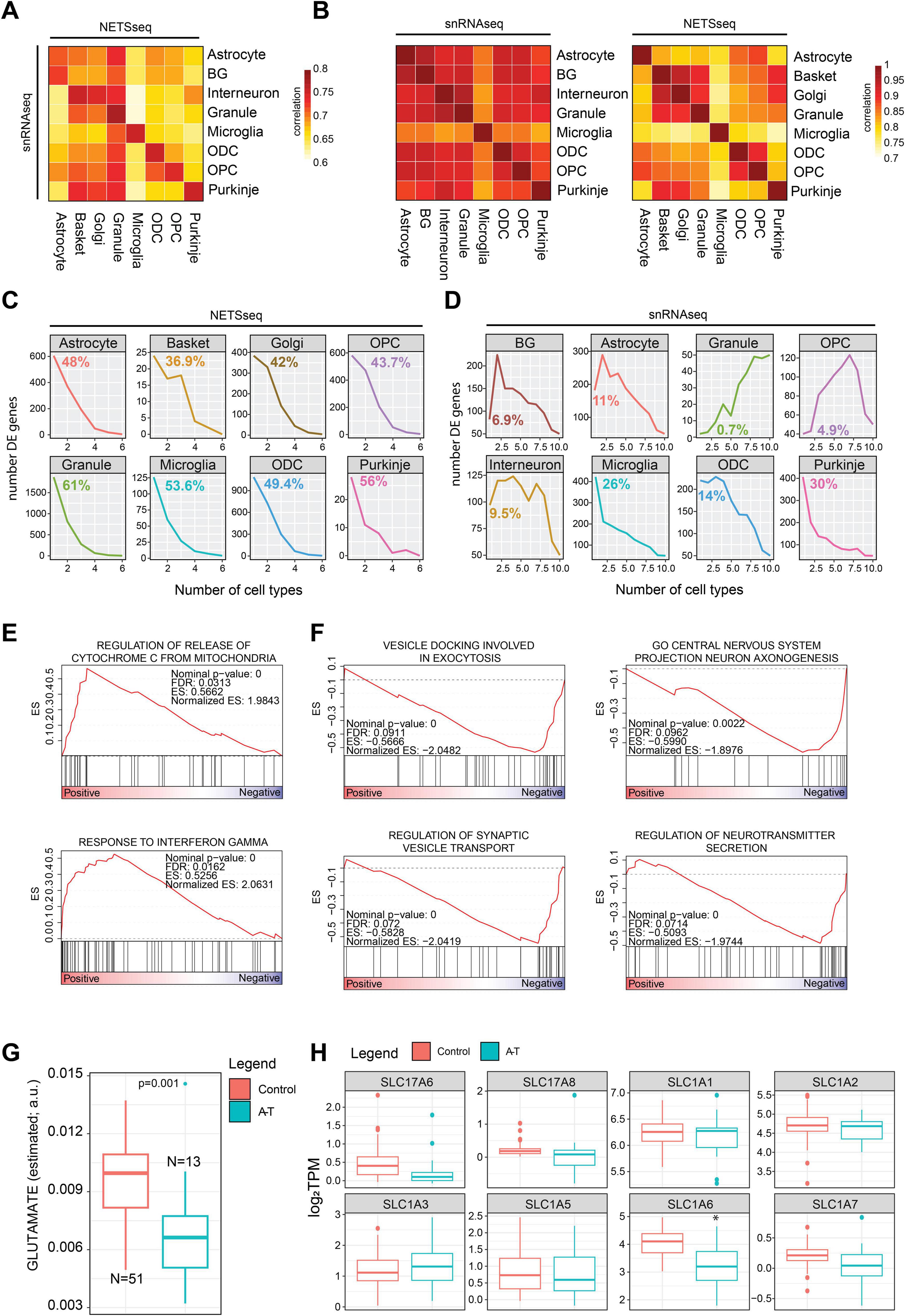 This image contains multiple panels of data visualizations related to cell types and gene expression analysis. Panels A and B show heatmaps correlating NETSseq and snRNAseq data across various cell types. Panels C and D display line graphs indicating the number of differentially expressed genes in each cell type, and their distribution across other cell types. Panels E and F present GSEA enrichment plots for pathways such as cytochrome C release and synaptic vesicle transport. Panel G features a box plot comparing glutamate levels between control and AT groups. Panel H includes multiple box plots showing expression levels of different glutamte transporters between control and AT groups.