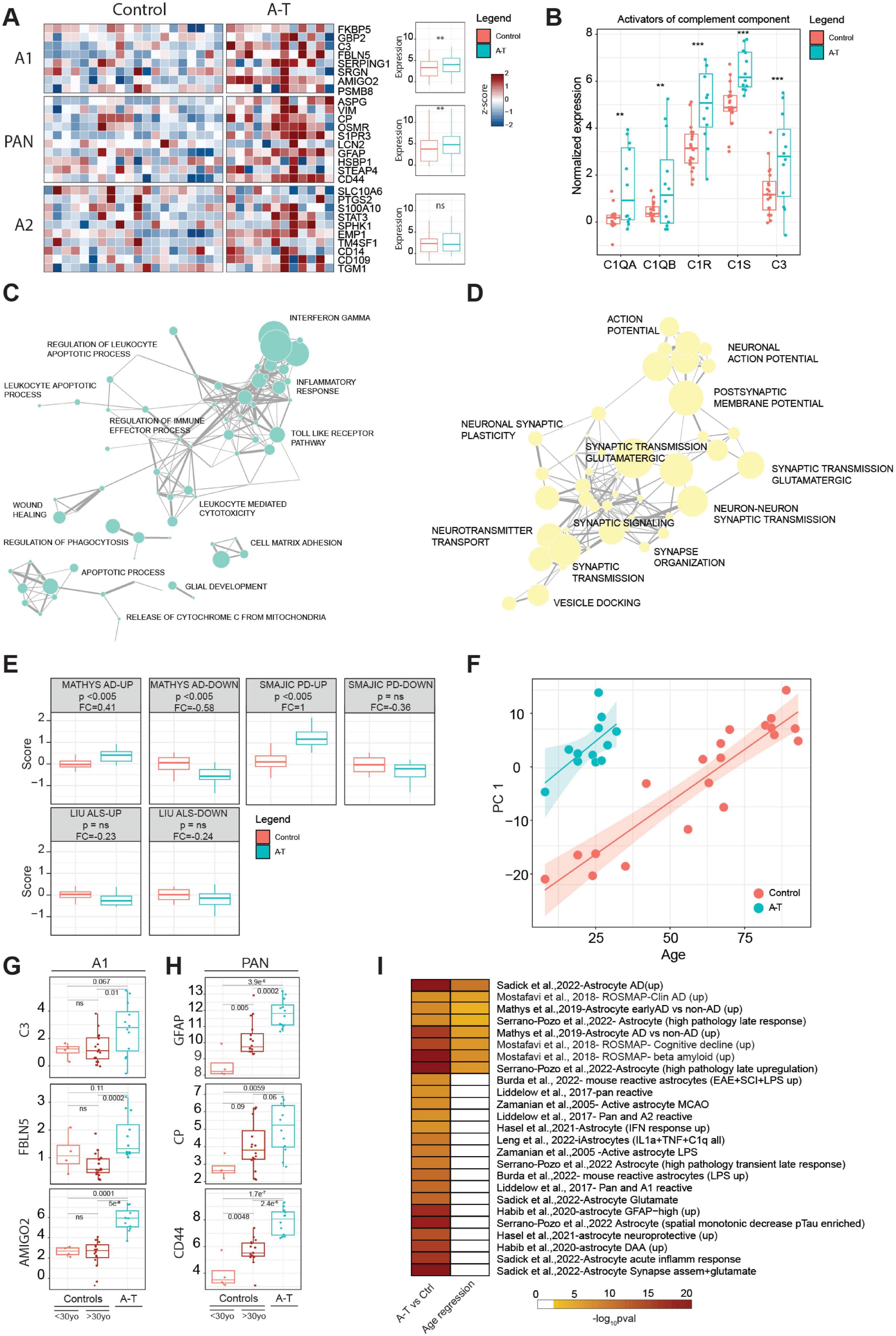 Panel A shows heatmaps comparing Control and A-T donor gene expression across different genes, with a legend indicating the score range. Panel B presents a box plot of normalized expression levels for complement component activators, highlighting significant differences. Panel C illustrates a network of immune-related processes. Panel D depicts a network of synaptic-related processes. Panel E shows box plots of expression scores for gene sets derived from various publications, comparing Control and A-T. Panel F is a scatter plot of Principal Component 1 versus age, showing different trends for A-T vs Control. Panels G and H provide box plots for specific markers, comparing young and older controls to A-T. Panel I displays a heatmap summarising GSEA results for A-T or age associated changes against gene sets from various astrocyte studies.