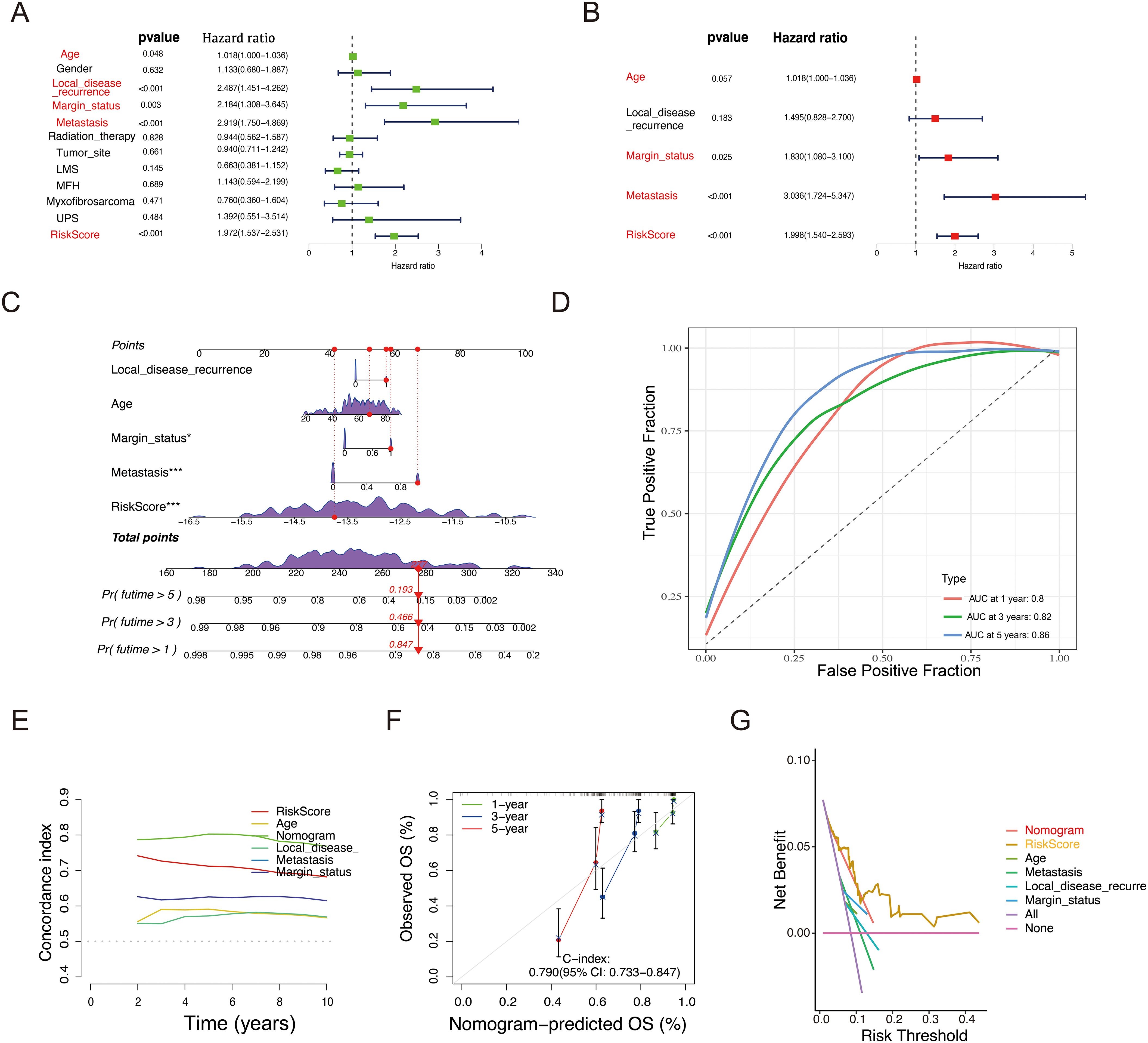 Multifaceted image with seven panels analyzing clinical data: A. Forest plot illustrating hazard ratios for factors like age, gender, and RiskScore. B. Simplified forest plot focusing on significant factors. C. Nomogram evaluating survival probabilities with individual factor impacts. D. ROC curves showing predictive accuracy at one, three, and five years. E. Concordance index plot assessing model performance over time for various factors. F. Calibration plot comparing predicted versus observed survival rates at different years. G. Decision curve analysis demonstrating net benefit across risk thresholds.