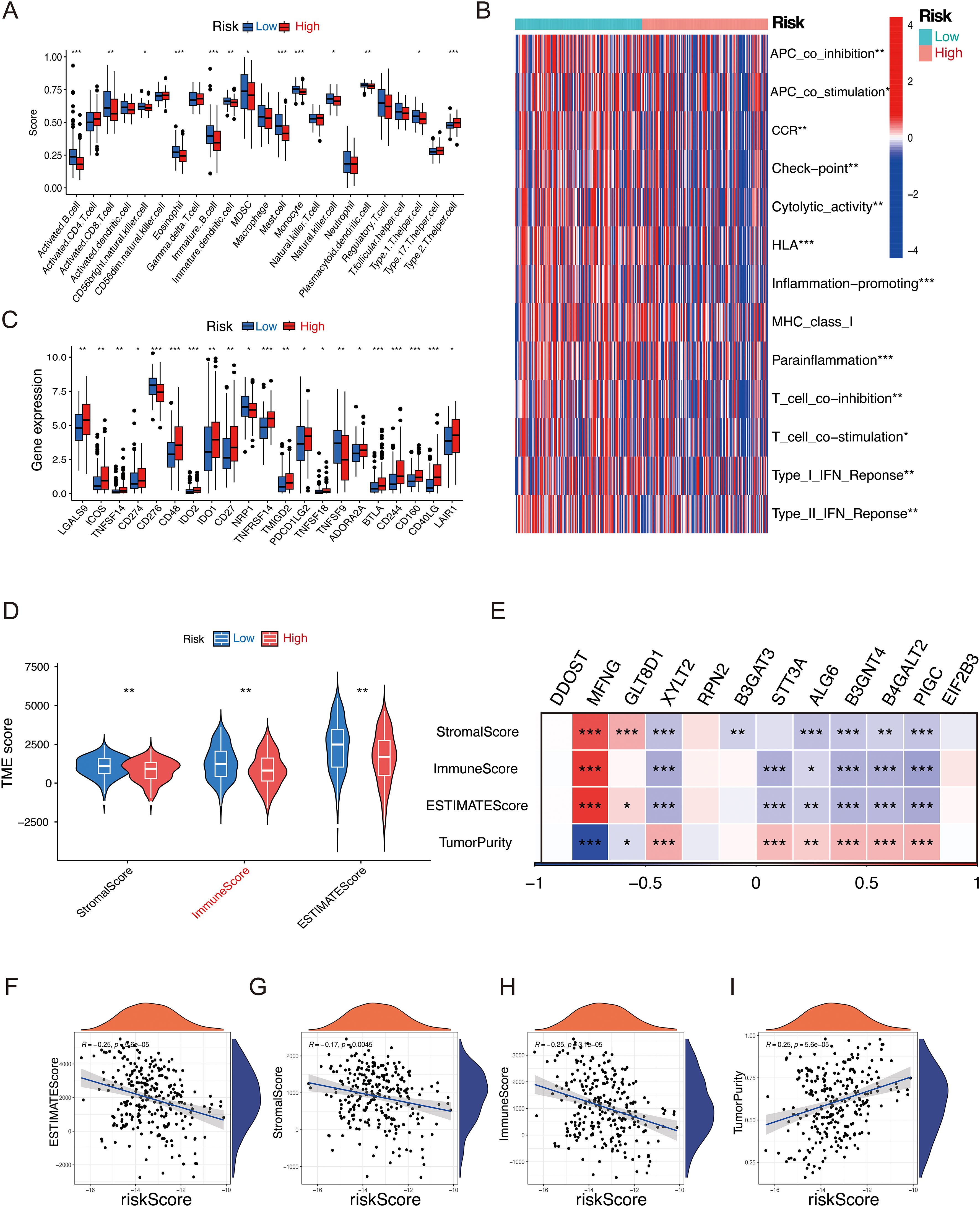Panel A shows box plots comparing immune-related scores between low and high-risk groups for various metrics, with significant differences indicated. Panel B is a heatmap displaying expression levels of immune-related genes across different samples, highlighting differences between risk groups. Panel C presents box plots of gene expression levels for high and low-risk individuals across several genes. Panel D includes violin plots illustrating differences in StromalScore, ImmuneScore, and ESTIMATEScore between risk groups. Panel E offers a heatmap correlating different genes with scores and tumor purity. Panels F to I provide scatter plots correlating risk scores with various scores, showing negative relationships.