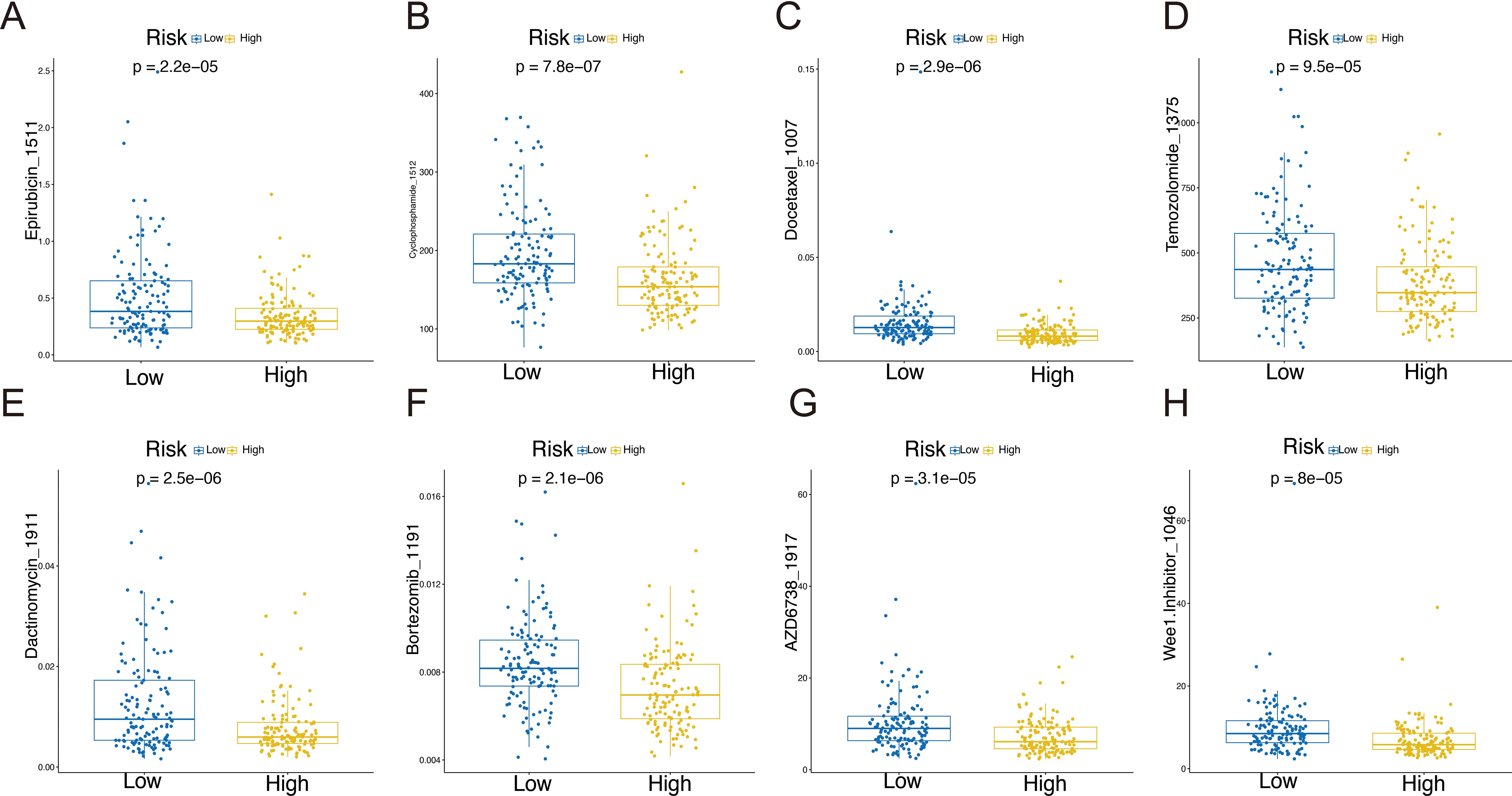Eight side-by-side box plots comparing drug responses for low and high-risk groups. Each plot represents a different drug with p-values indicating statistical significance. Drugs include Epirubicin (A), Cyclophosphamide (B), Docetaxel (C), Temozolomide (D), Dactinomycin (E), Bortezomib (F, AZD6738 (G), and Wee1 Inhibitor. (H) Data points are marked for each group, with blue for low risk and yellow for high risk.