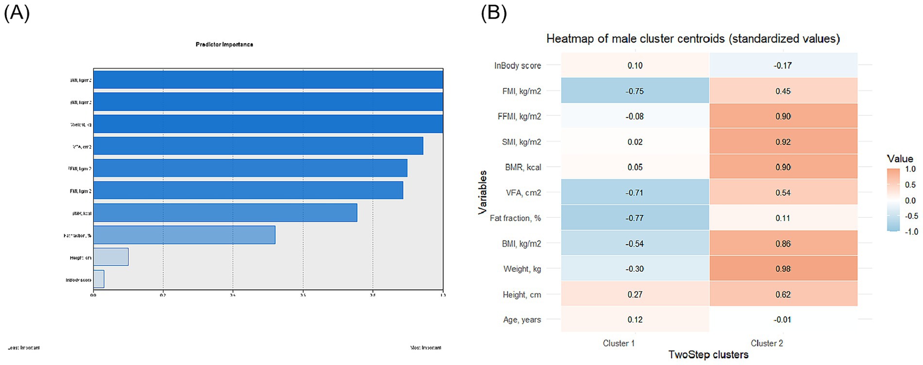 (A) A bar chart showing predictor importance for various variables, with SMI, FFMI, VFA, FMI, and BMR having higher values.(B) A heatmap of male cluster centroids with standardized values. Cluster 1 shows lower values for FMI and VFA, while Cluster 2 shows higher values for SMI and BMI.
