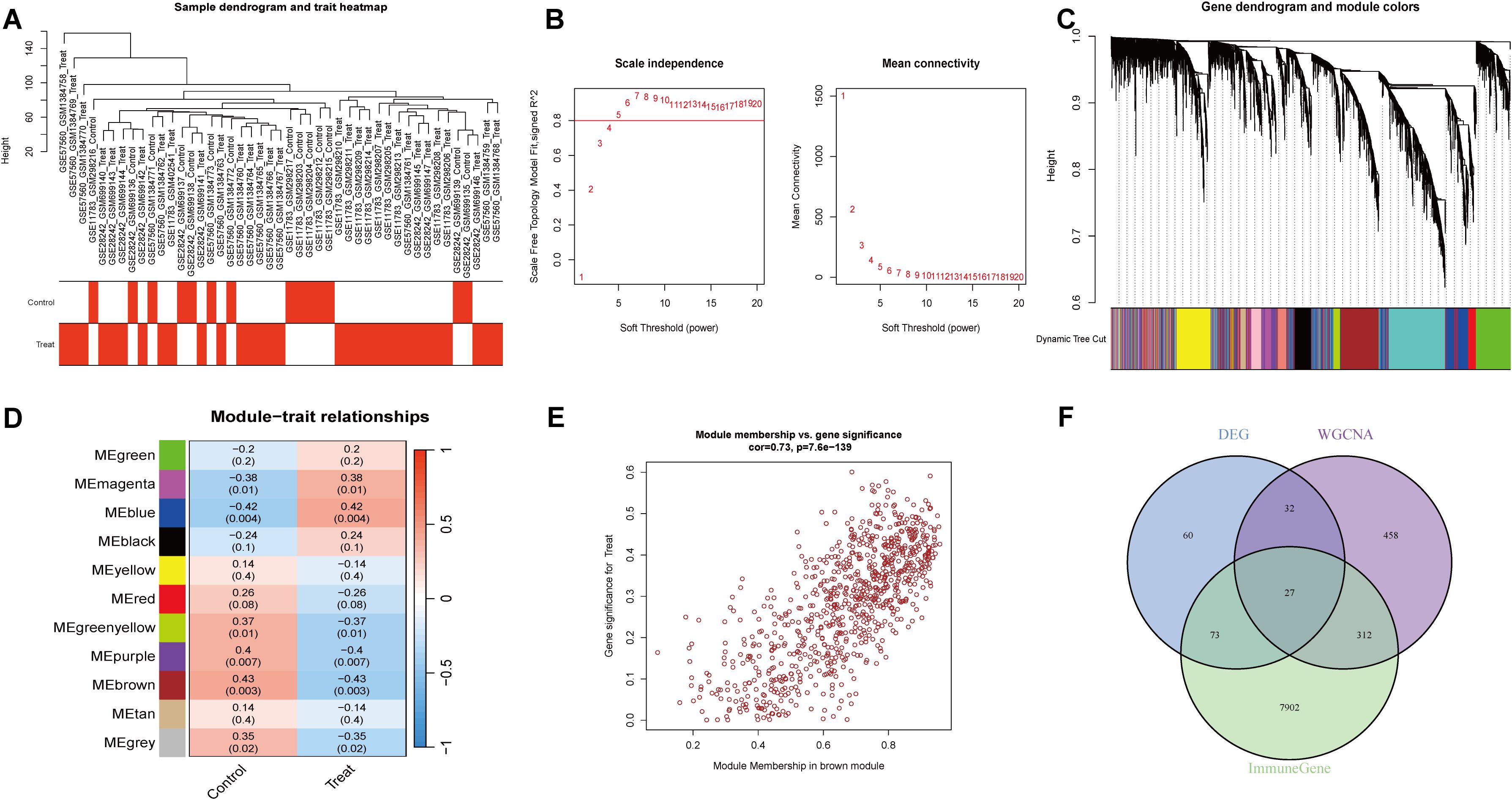 Cluster analysis and trait heatmap (A) shows sample clustering with a heatmap of control and treatment groups. Soft thresholding and scale independence plots (B) are displayed alongside connectivity measures. Gene dendrogram with module colors (C) illustrates clustering divisions. Module-trait relationships heatmap (D) indicates correlations between modules and traits. Scatter plot (E) shows the correlation between module membership and gene significance for the brown module. Venn diagram (F) compares DEG, WGCNA, and ImmuneGene, highlighting overlapping genes.
