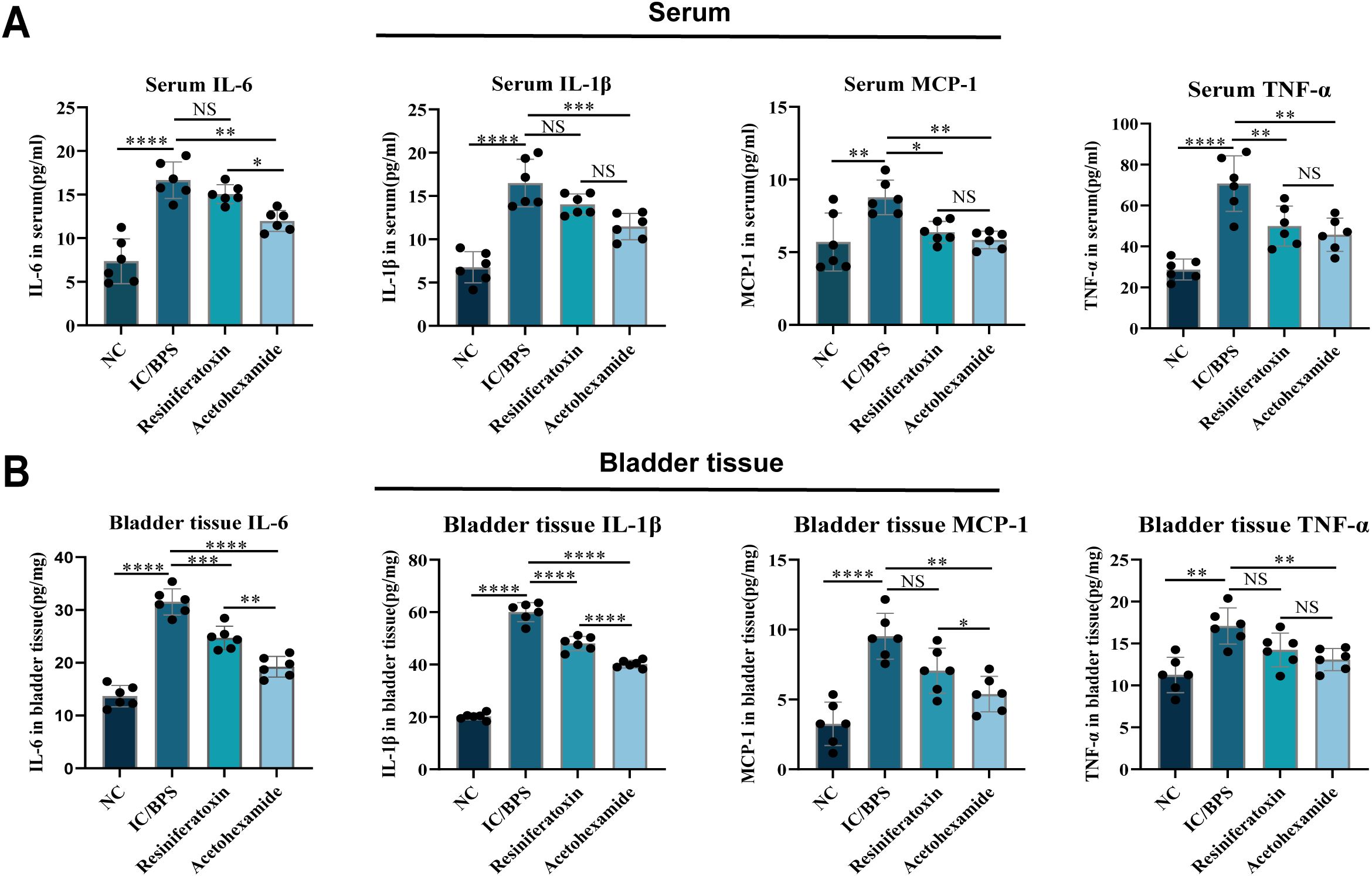 Bar charts compare cytokine levels in serum (A) and bladder tissue (B) across four conditions: NC, IC/BPS, Resiniferatoxin, and Acetotexamide. Charts show IL-6, IL-1β, MCP-1, and TNF-α. Significant differences are marked (* p < 0.05, ** p < 0.01, *** p < 0.001, **** p < 0.0001). NS indicates no significant difference.