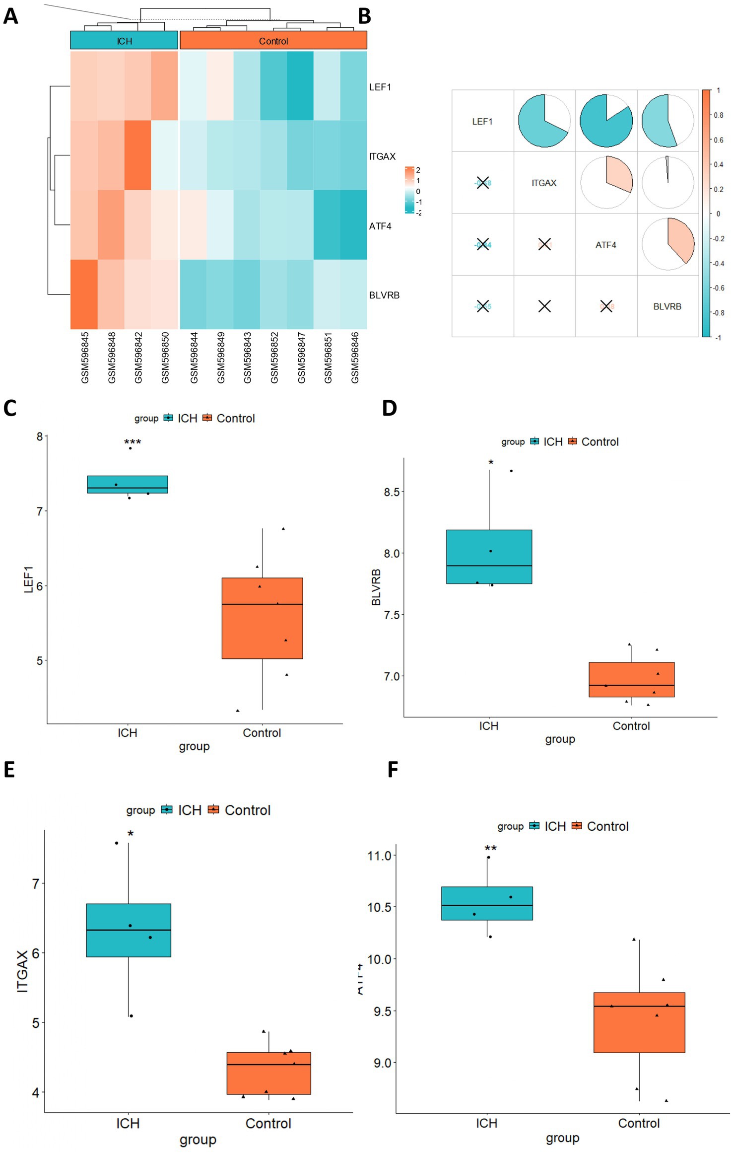 Heatmap and box plots comparing gene expression between ICH and control groups. Panel A shows a heatmap with increased expression in ICH for LEF1 and ITGAX, and decreased for ATF4 and BLVRB. Panel B displays a correlation matrix of these genes. Panels C to F are box plots for LEF1, BLVRB, ITGAX, and ATF4, respectively, showing significantly higher expression in the ICH group compared to controls.