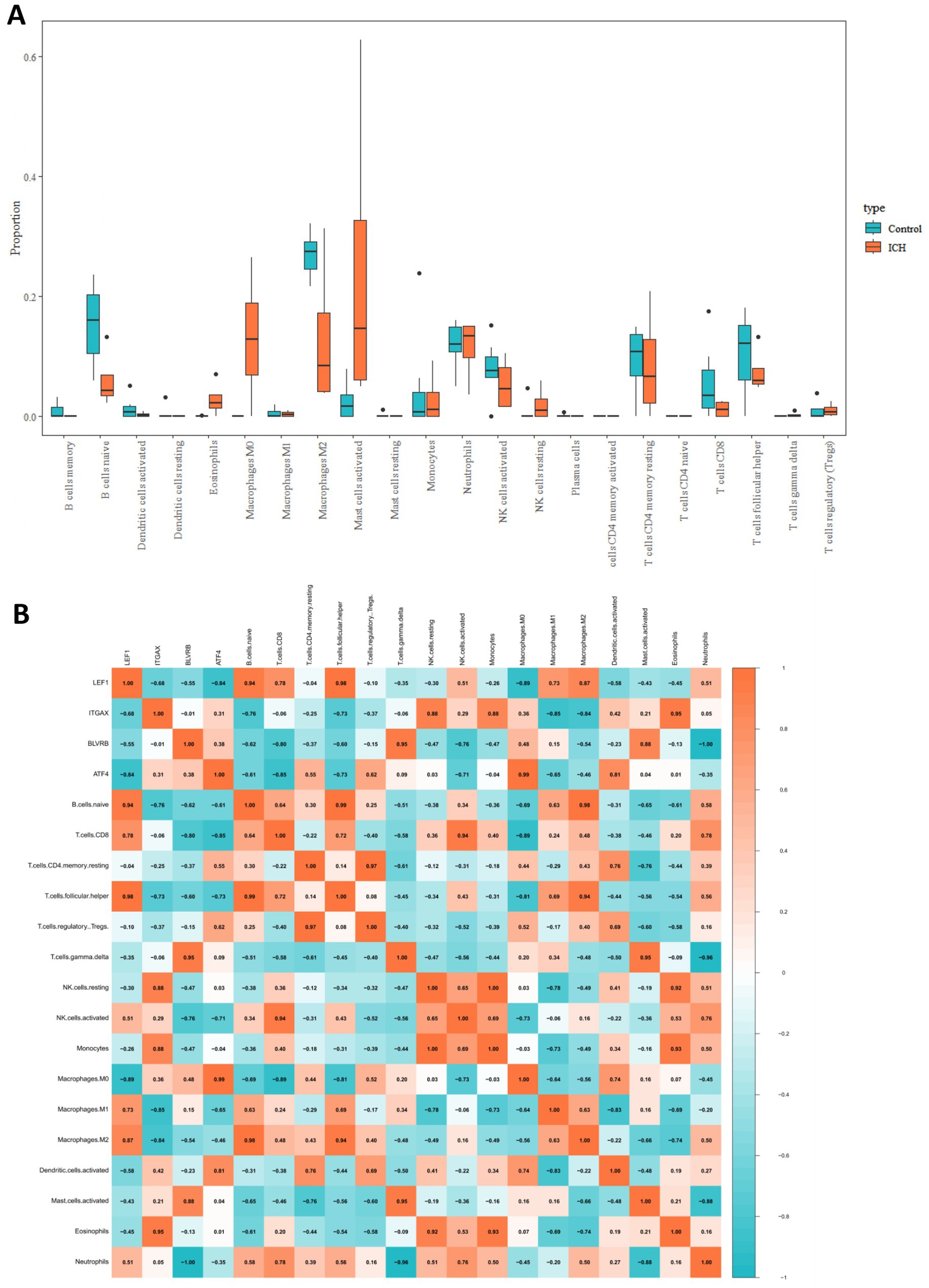 Chart A is a box plot comparing proportions of different cell types between control and ICH groups, with notable differences in macrophage and mast cell activation. Chart B is a heatmap showing correlation values between genes and various immune cells, with a gradient from blue (negative correlation) to red (positive correlation).