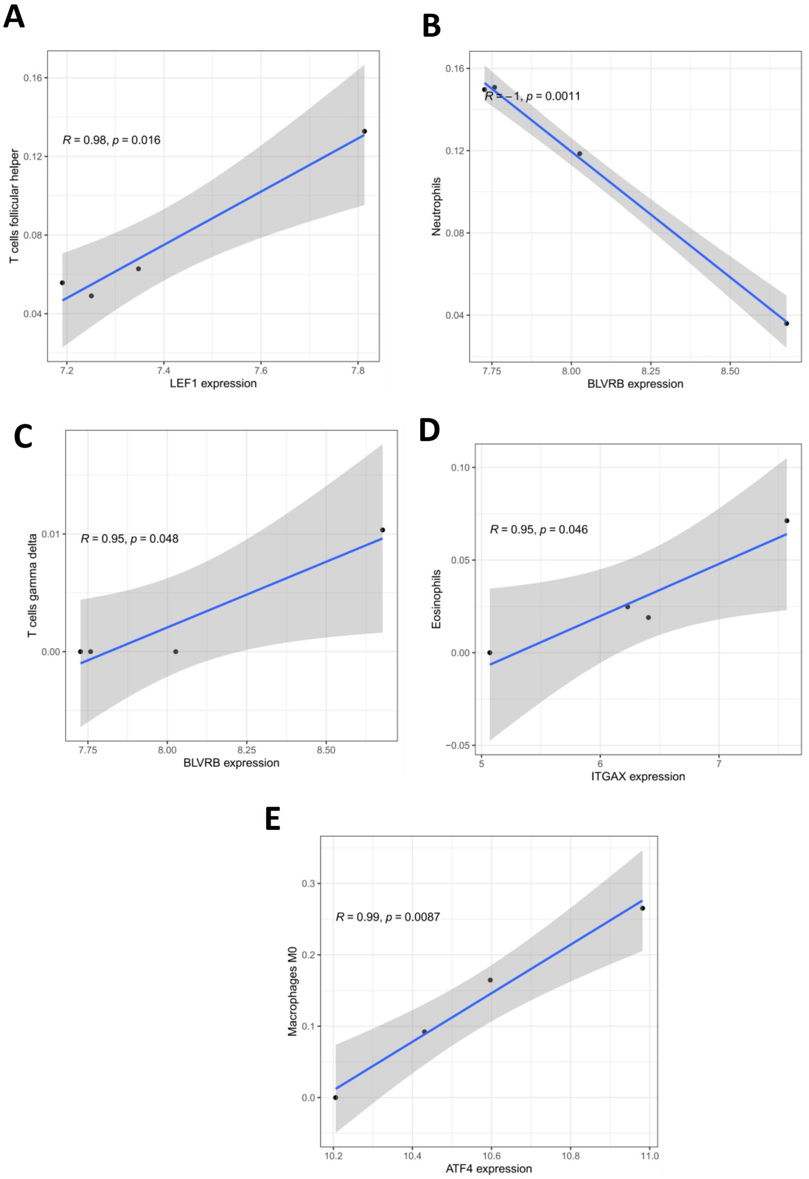 Graphs showing correlations between gene expressions and cell types. A: Positive correlation between LEF1 expression and T cell follicular helper (R = 0.98, p = 0.016). B: Negative correlation between BLVRB expression and neutrophils (R = -1, p = 0.0011). C: Positive correlation between BLVRB expression and T cells gamma delta (R = 0.95, p = 0.048). D: Positive correlation between ITGAX expression and eosinophils (R = 0.95, p = 0.046). E: Positive correlation between ATF4 expression and macrophages M0 (R = 0.99, p = 0.0087). Blue lines indicate trends with shaded confidence intervals.