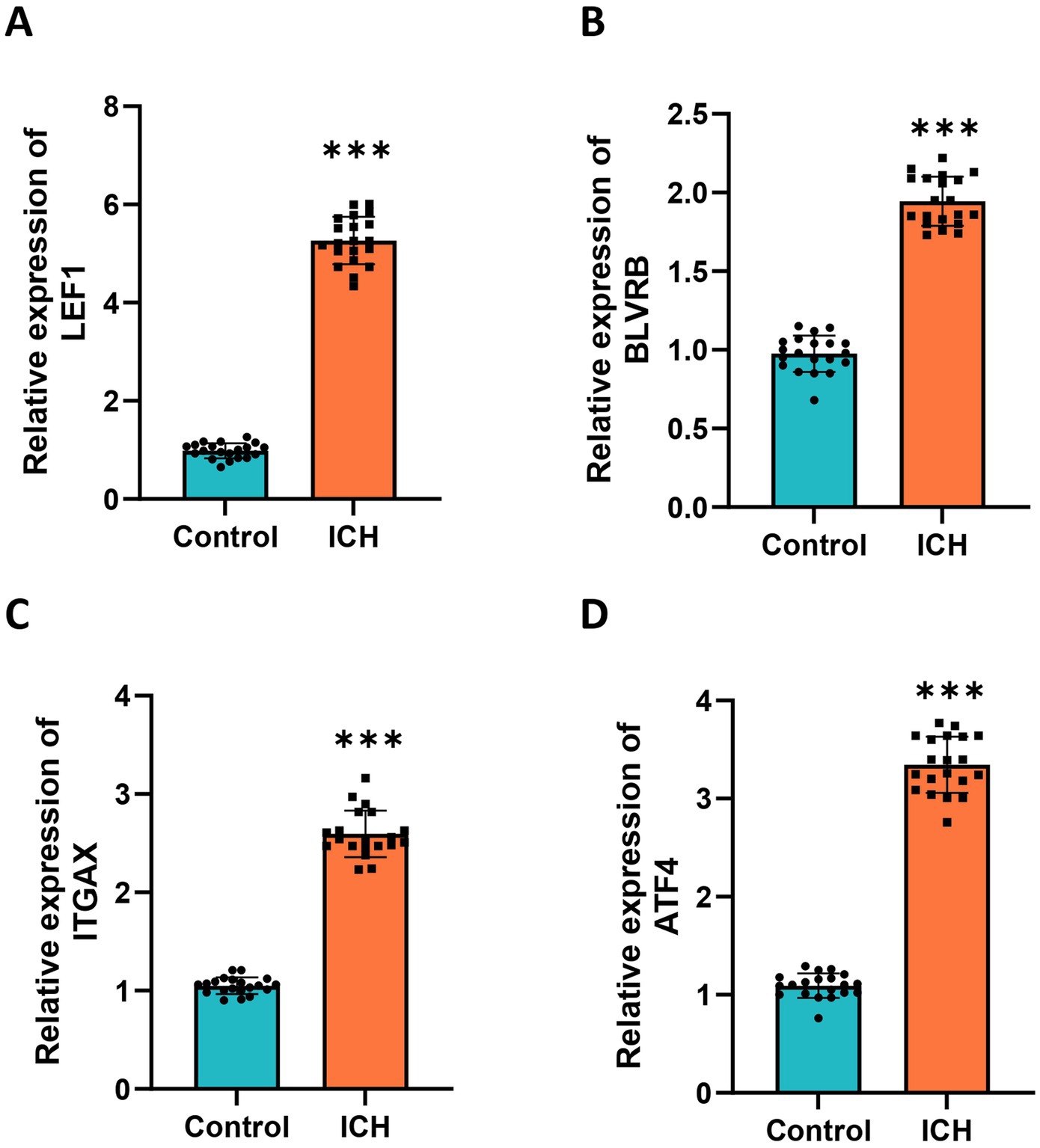 Bar graphs display the relative expression levels of four genes, LEF1, BLVRB, ITGAX, and ATF4, comparing control and ICH groups. Each graph shows significantly higher expression in the ICH group, indicated by three asterisks, suggesting statistical significance.