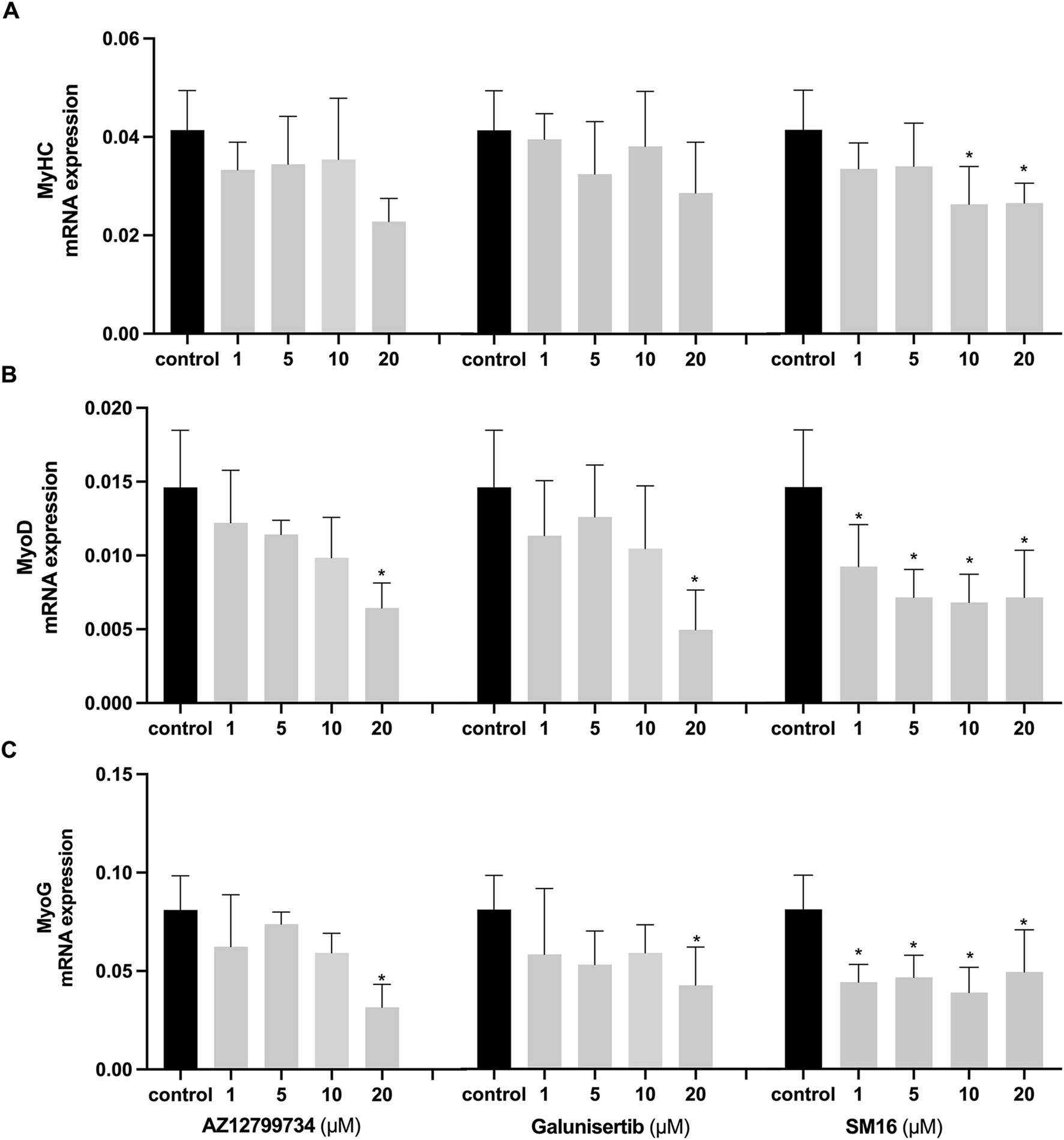 Bar graphs depicting mRNA expression levels of MyHC, MyoD, and MyoG under different treatments: AZ12799734, Galunisertib, and SM16. Each panel (A, B, C) shows expression at various concentrations (1, 5, 10, 20 µM) compared to a control. Significant changes are marked with asterisks. Error bars represent variability.