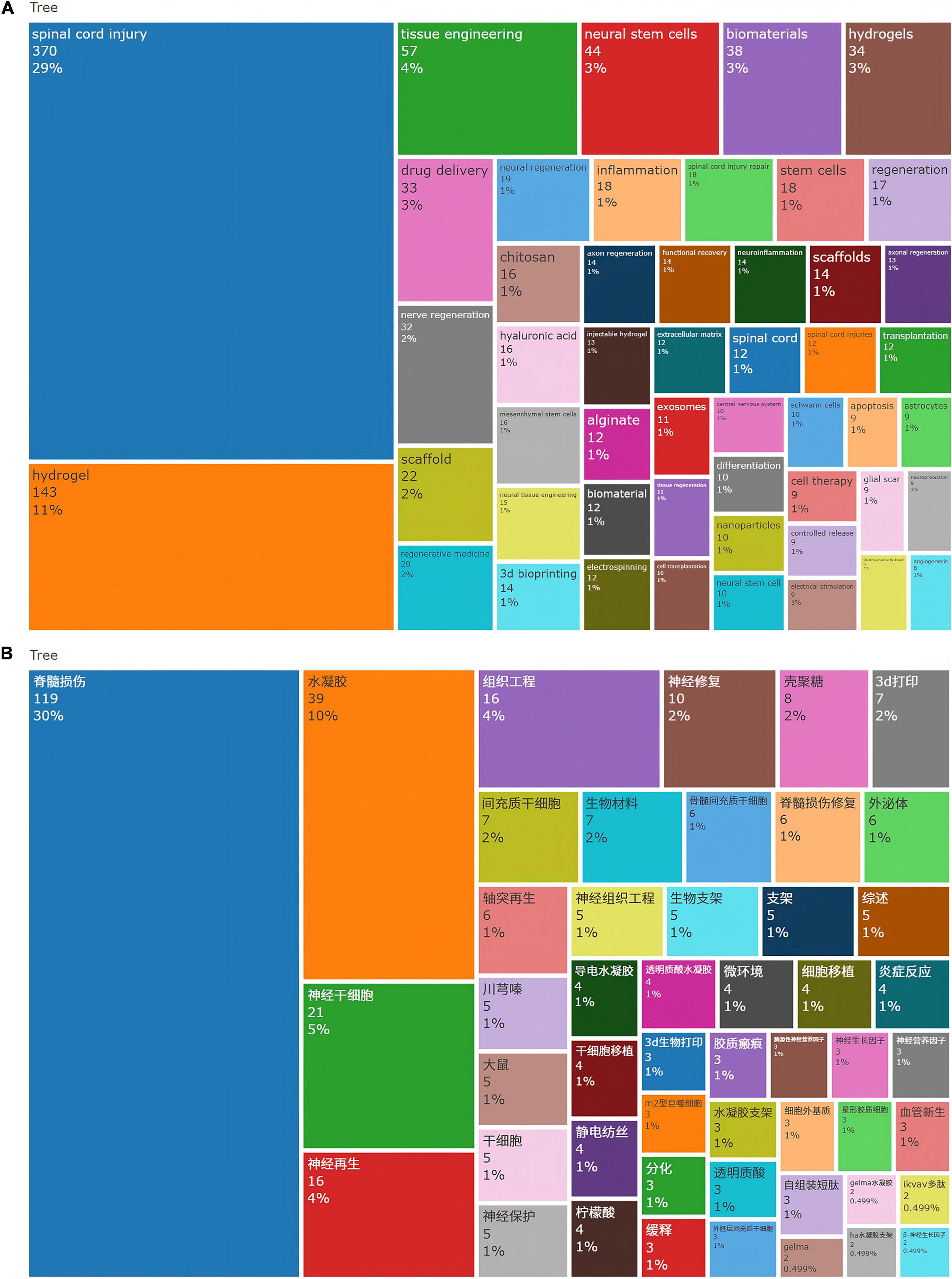 Two treemaps compare research topics by prevalence. Panel A shows English terms: “spinal cord injury” dominates at 29%, followed by “hydrogel” at 11%. Panel B shows Chinese terms: similarly, “spinal cord injury” leads at 30%, with “水凝胶” (hydrogel) at 10%. Each topic includes a percentage and count, indicating its representation in the dataset.