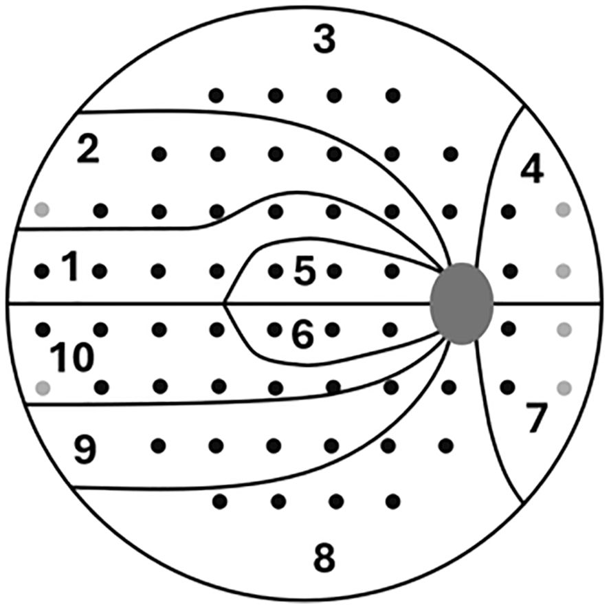 Visual field diagram of the central 30 degrees divided into ten clusters. Black dots represents the 24-2 pattern, grey dots represent additional locations in the BCAM VF test. Dark grey oval shape represents the blind spot.