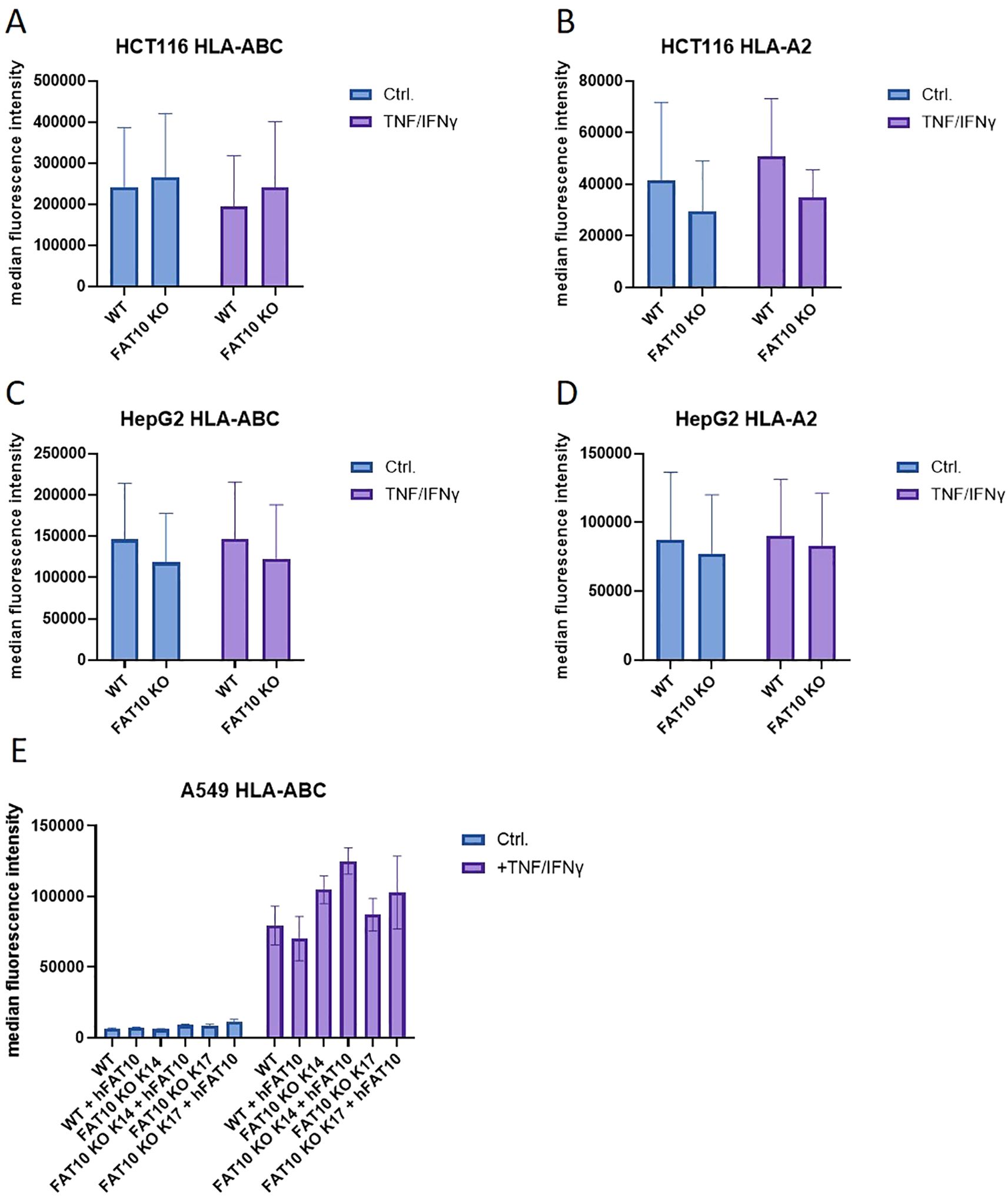 Bar charts display median fluorescence intensity for HCT116 and HepG2 cell lines in panels A to D, and A549 in panel E. Each panel compares wild type (WT) and FAT10 knockout (KO) conditions under control (Ctrl.) and TNF/IFNγ treatments. Panel E shows a detailed comparison with various FAT10 KO modifications. Bars are colored in blue for control and purple for TNF/IFNγ stimulation, with error bars indicating variability.