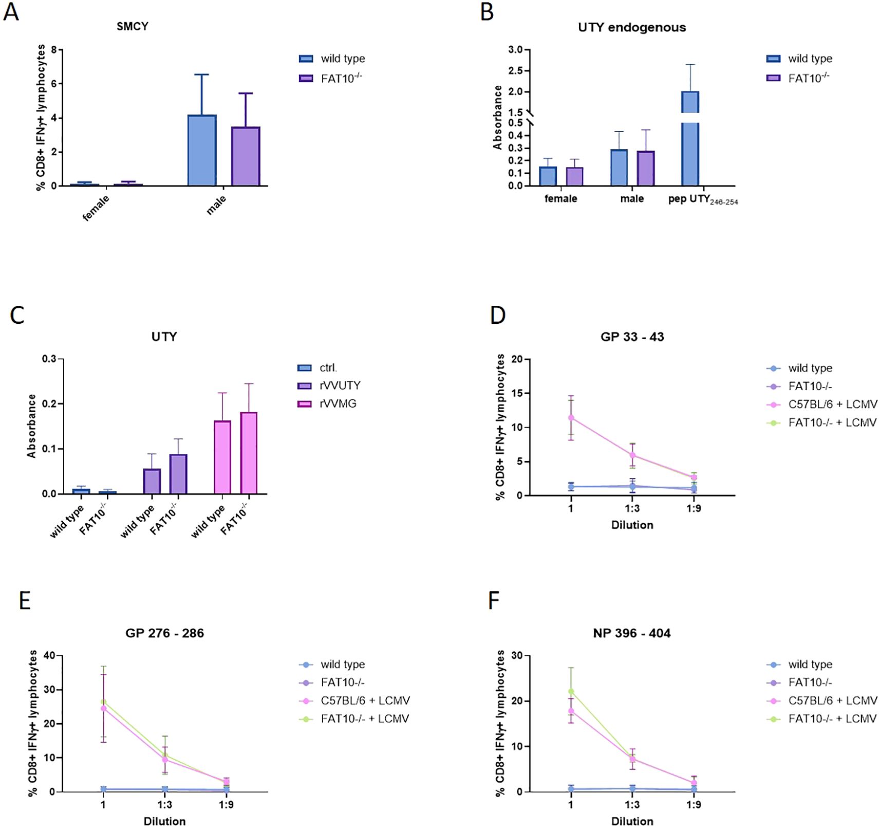 Six-panel image displaying various bar graphs: A) Bar graph shows percentages of CD8+ IFNγ+ lymphocytes in SMCY for wild type and FAT10−/− mice, divided by sex. B) Bar graph showing UTY endogenous absorbance levels for wild type and FAT10−/− mice, indicating sex differences and peptide response. C) Bar graph of UTY absorbance levels for ctrl, rVVUTY, and rVVMG in wild type and FAT10−/− mice. D-F) Line graphs show dilution effects on % CD8+ IFNγ+ lymphocytes for GP 33-43, GP 276-286, and NP 396-404, comparing wild type, FAT10−/−, and LCMV-infected conditions.