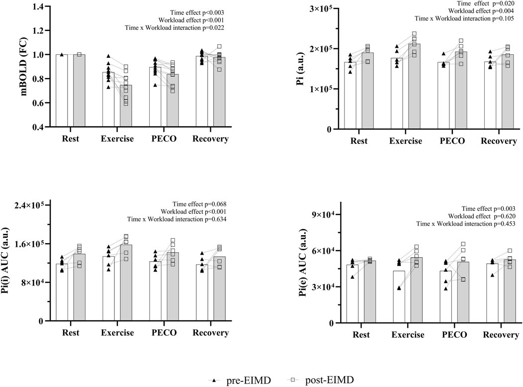 Four bar graphs show different metrics across conditions: Rest, Exercise, PECO, and Recovery. The top left graph depicts mBOLD levels with significant time, workload, and interaction effects. The top right graph shows Pi values with time and workload effects. The bottom left graph displays Pi(i) AUC with a workload effect. The bottom right graph presents Pi(e) AUC with time and workload effects. Each graph differentiates pre-EIMD and post-EIMD groups using distinct markers.