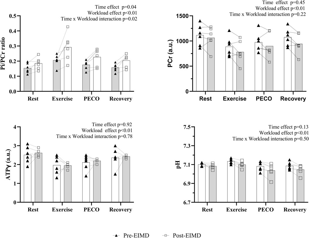 Four bar graphs display the effects of exercise on muscle metabolism at different stages: Rest, Exercise, PECO, and Recovery. The graphs show Pi/PCr ratio, PCr (a.u.), ATPy (a.u.), and pH levels. Each graph compares pre-EIMD and post-EIMD conditions, represented by triangles and squares, respectively. Significant workload effects and interactions are noted, with p-values provided.