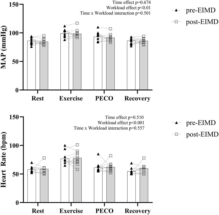 Bar graphs showing mean arterial pressure (MAP) and heart rate (bpm) across different stages: Rest, Exercise, PECO, and Recovery. Data is presented for pre-EIMD (triangles) and post-EIMD (squares) conditions. MAP ranges from 0 to 150 mmHg, and heart rate ranges from 0 to 150 bpm. Statistical significance is indicated by p-values; workload effect is significant in both graphs.
