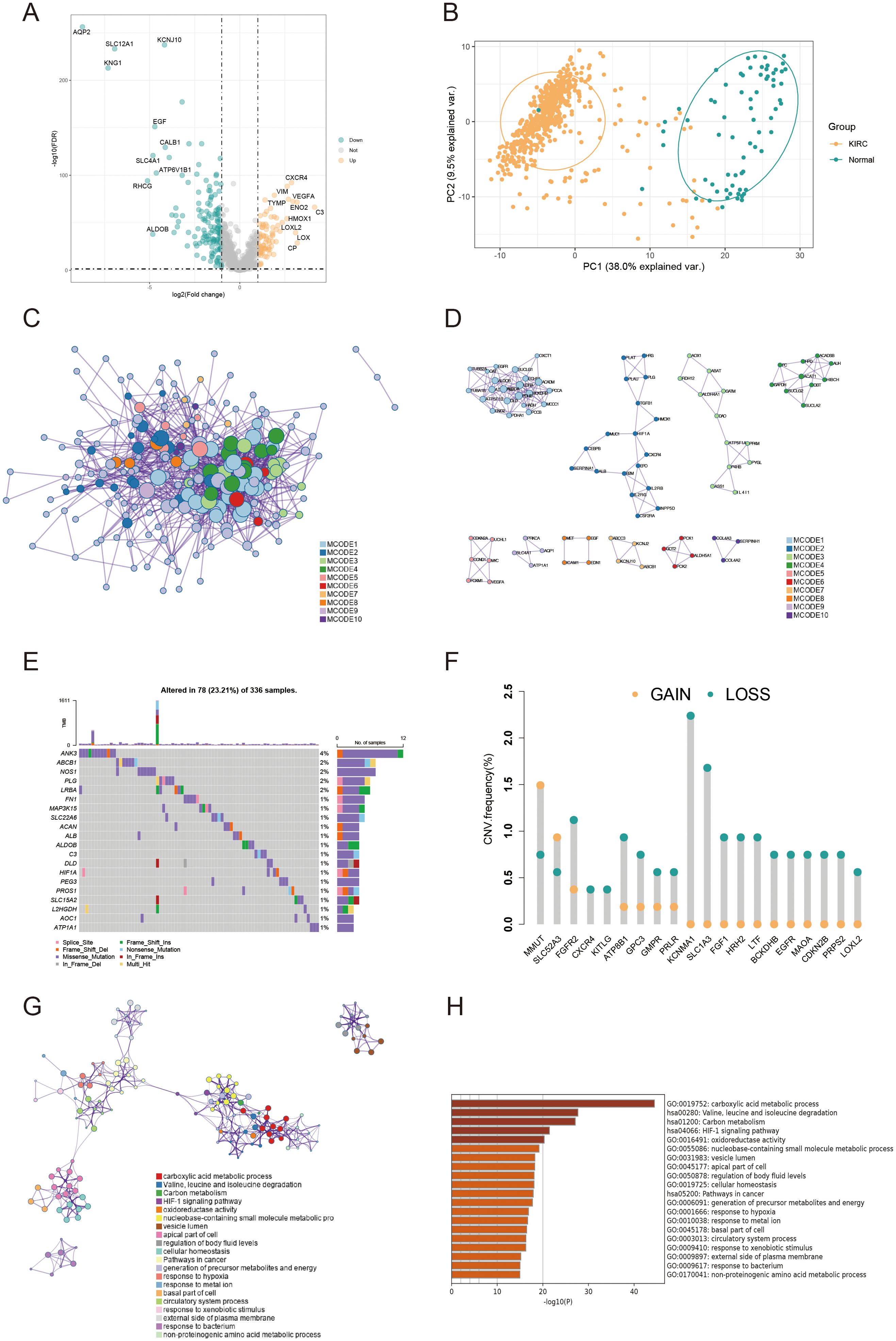 Panel A shows a volcano plot of gene expression with upregulated and downregulated genes labeled. Panel B displays a PCA plot contrasting KIRC and normal samples, indicating clustering. Panel C features a network diagram illustrating interactions between gene clusters, colored by NOCODE groups. Panel D presents smaller network diagrams for specific gene sets within MCODE groups. Panel E is an oncoplot showing mutation types across samples. Panel F depicts a bar graph of CNV frequency with gains and losses for various genes. Panel G shows a biological process network colored by function. Panel H is a bar chart of enriched biological processes with significance values.