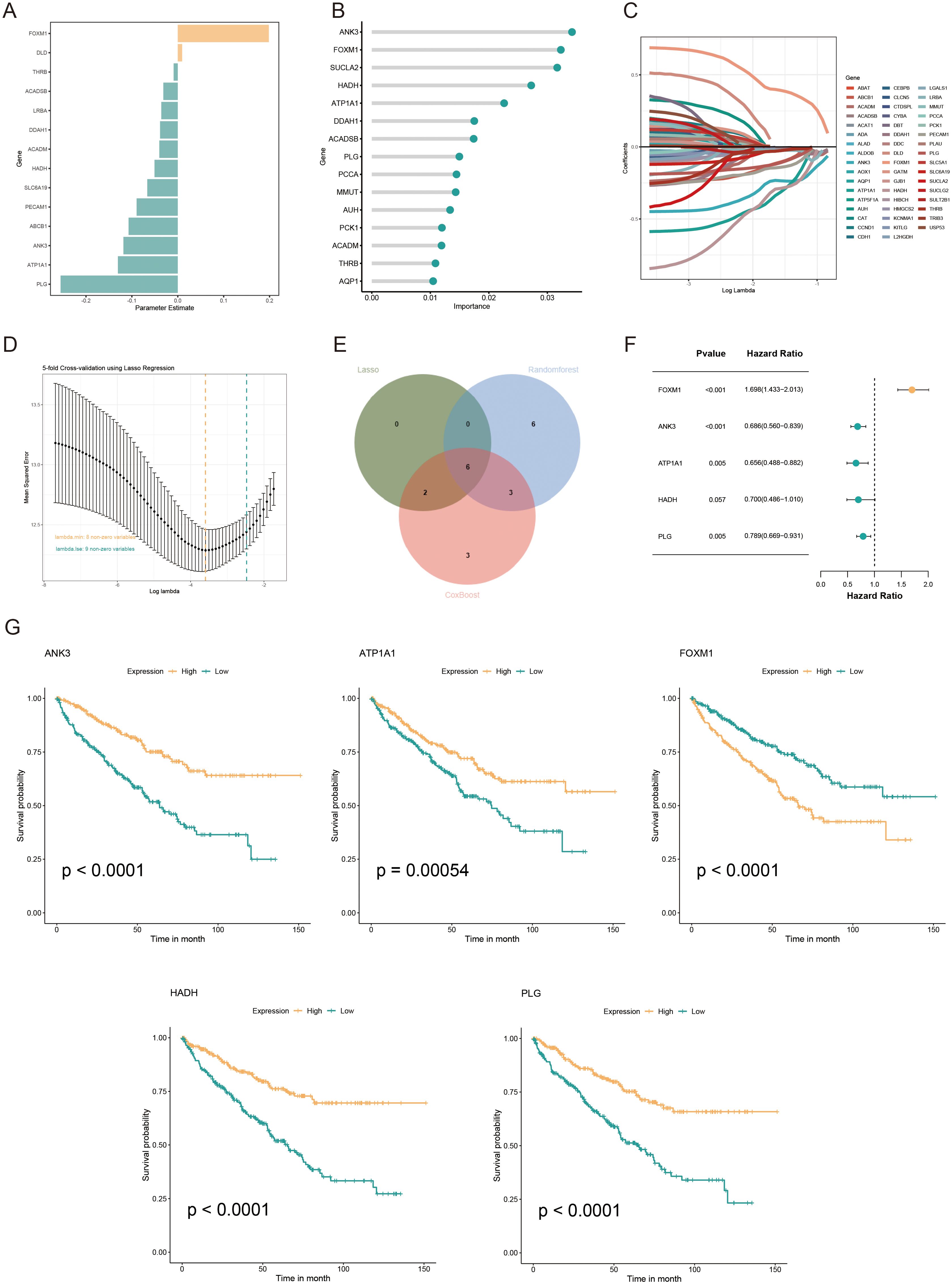 Development and validation of an AICD-associated prognostic signature for KIRC patients. (A) Feature selection according to the CoxBoost algorithm. (B) Identification of optimal biomarkers using the Random Forest (RF) algorithm. (C, D) Variable selection in the LASSO-Cox regression model. (E) Venn diagram indicating overlapping identified by the three algorithms. (F) Forest plots of the final 5 prognostic genes selected through stepAIC regression analysis. (G) Survival analysis of the prognostic genes in the TCGA-KIRC cohort.