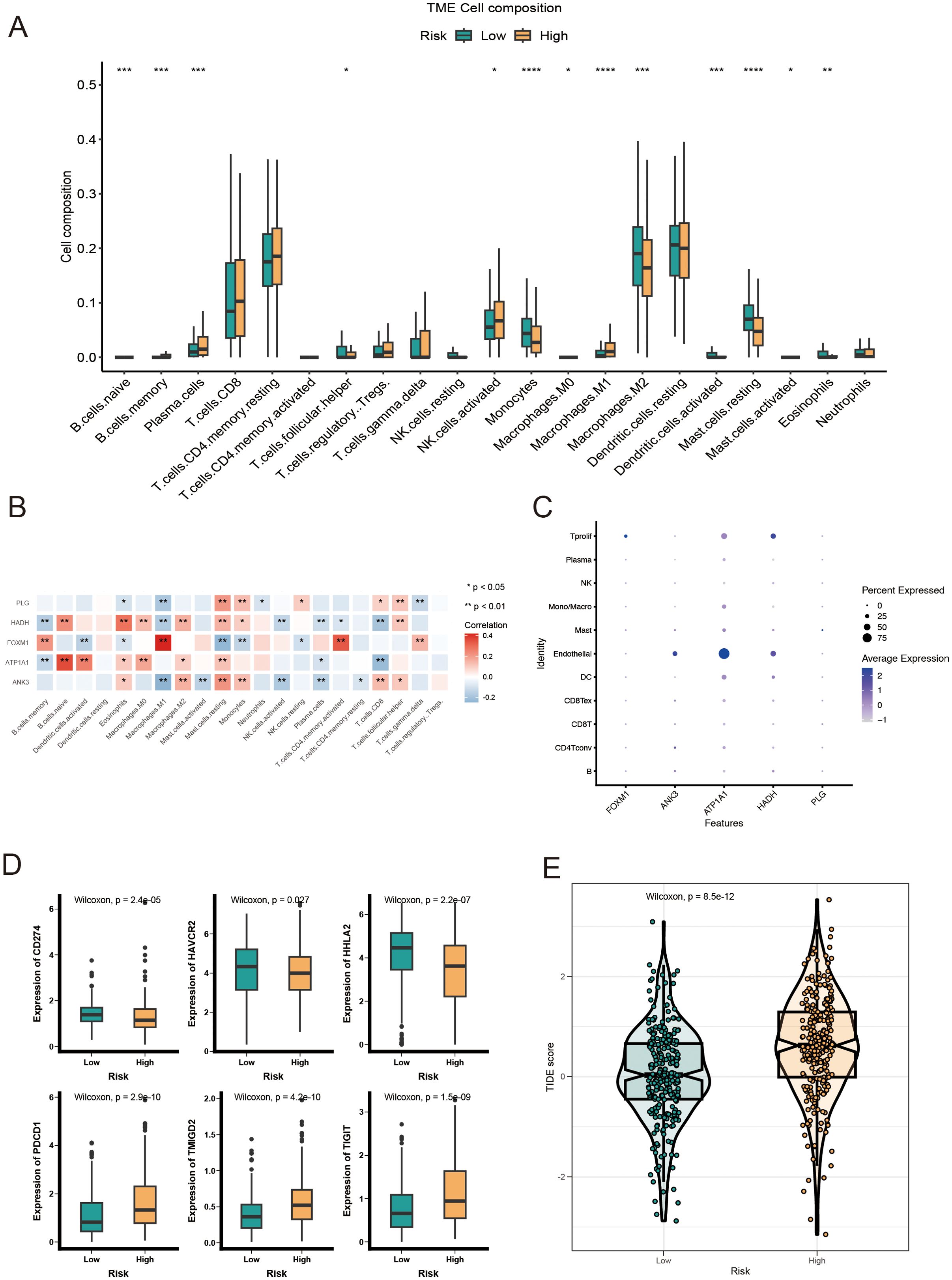 Immune landscape analysis of LR and HR KIRC patients based on AICD-related prognostic model. (A) Boxplot showing the abundance of 22 infiltrating immune cell types computed via CIBERSORT. (B) Correlation between TME infiltrating immune cells and genes in the AICD-related prognostic model. (C) Bubble plot indicating the average and percentage expression of prognostic biomarkers among diverse cell subtypes. (D) Boxplot illustrating the expression levels of IC-associated genes. (E) Violin plot of TIDE scores across risk groups. *p<0.5; **p<0.1; ***p<0.01; ****p<0.001.