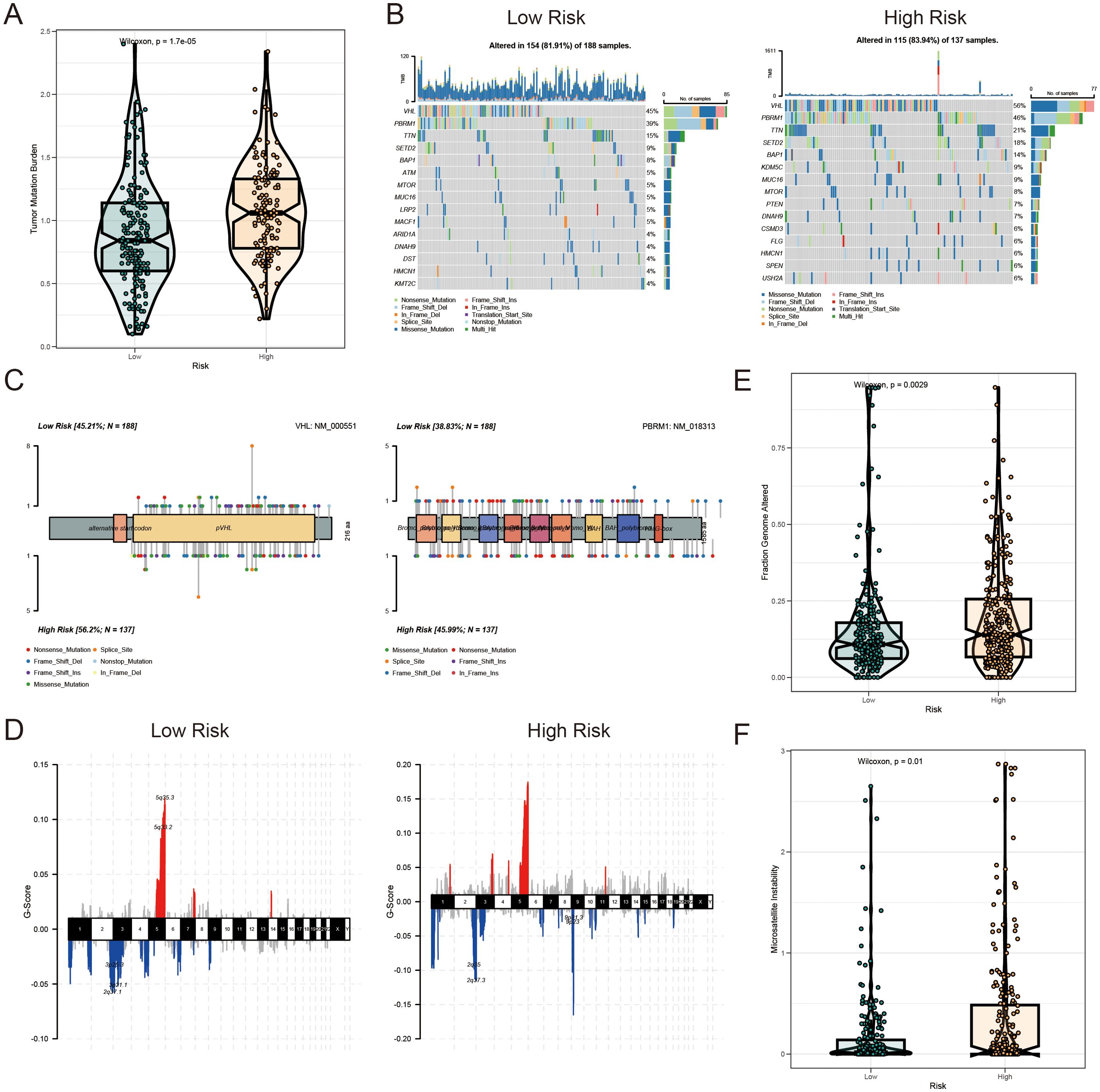 Mutation landscape of AICD-related prognostic subgroups in KIRC. (A) TMB analysis. (B) Waterfall plot depicting somatic mutation characteristics in HR and LR groups. (C) Comparison of several mutation loci in VHL and PBRM1 between risk groups. (D) CNV patterns in LR and HR groups. (E) FGA differences between risk groups. (F) Comparison of MSI across risk score categories. *p<0.5; ***p<0.01; ****p<0.001.