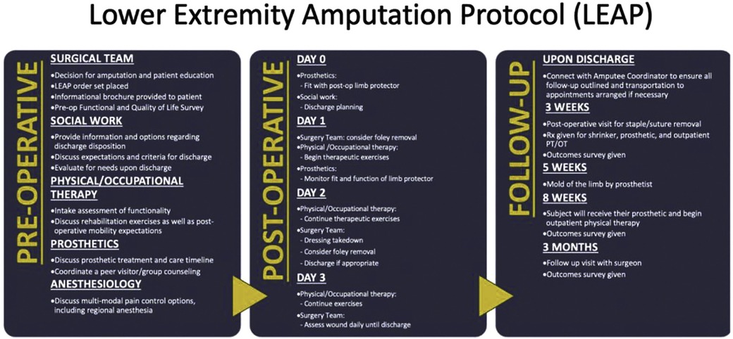 Lower Extremity Amputation Protocol (LEAP) chart divided into three sections: Pre-Operative, Post-Operative, and Follow-Up. Each section lists tasks and timelines for surgical teams, social work, physical and occupational therapy, prosthetics, and anesthesiology. Pre-Operative focuses on patient education and planning. Post-Operative includes prosthetic fittings and therapy from day zero to day three. Follow-Up details discharge procedures and follow-up appointments at intervals of three weeks, five weeks, eight weeks, and three months.