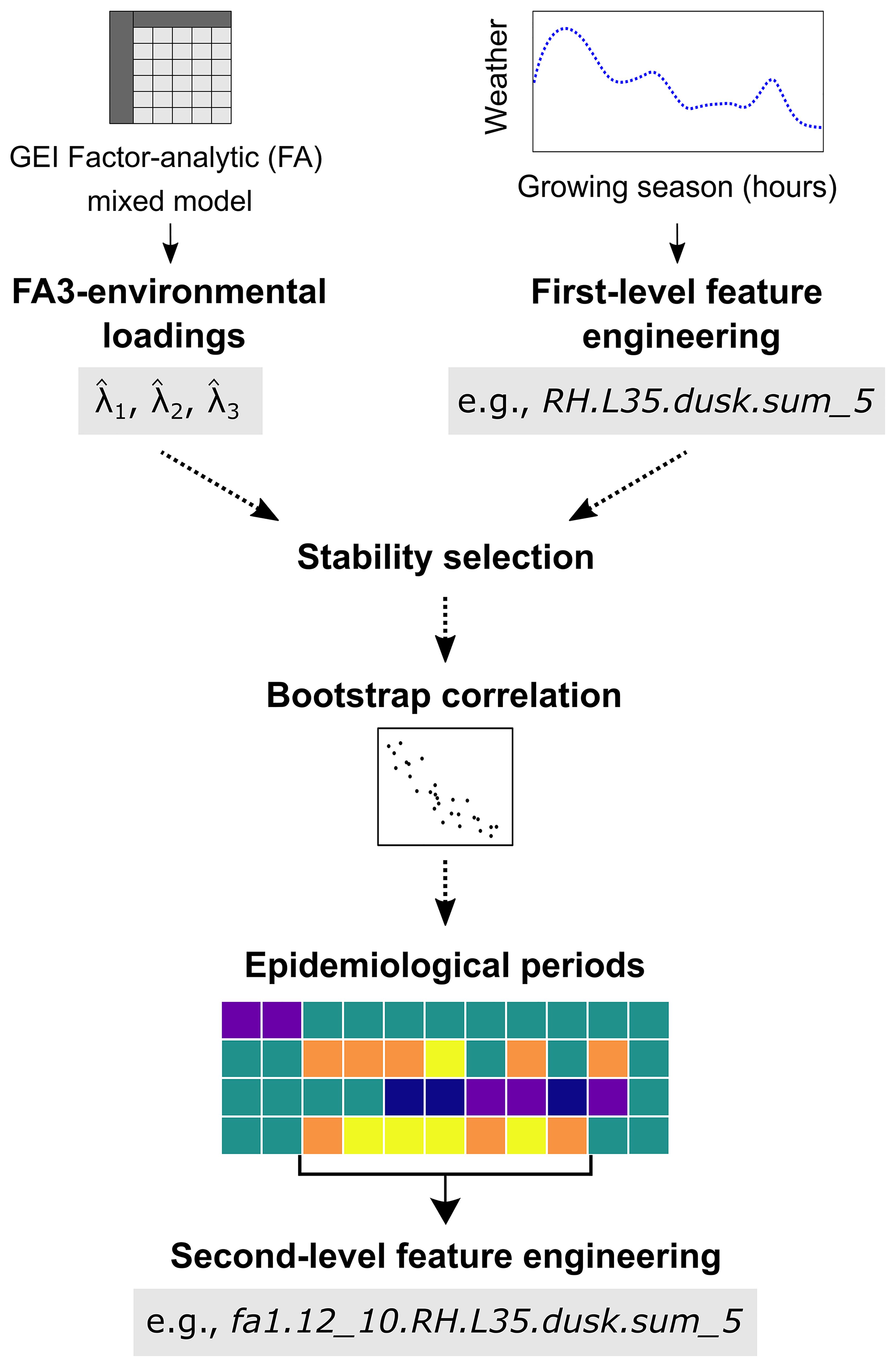 Flowchart showing a process for generating weather-based variables. It begins with FA3-environmental loadings from GEI analysis using factor-analytic LMM. Growing season weather data undergoes first-level feature engineering. Stability selection, then bootstrap correlation are applied, resulting in the identification of epidemiological periods associated with disease risk. These are used for second-level feature engineering.