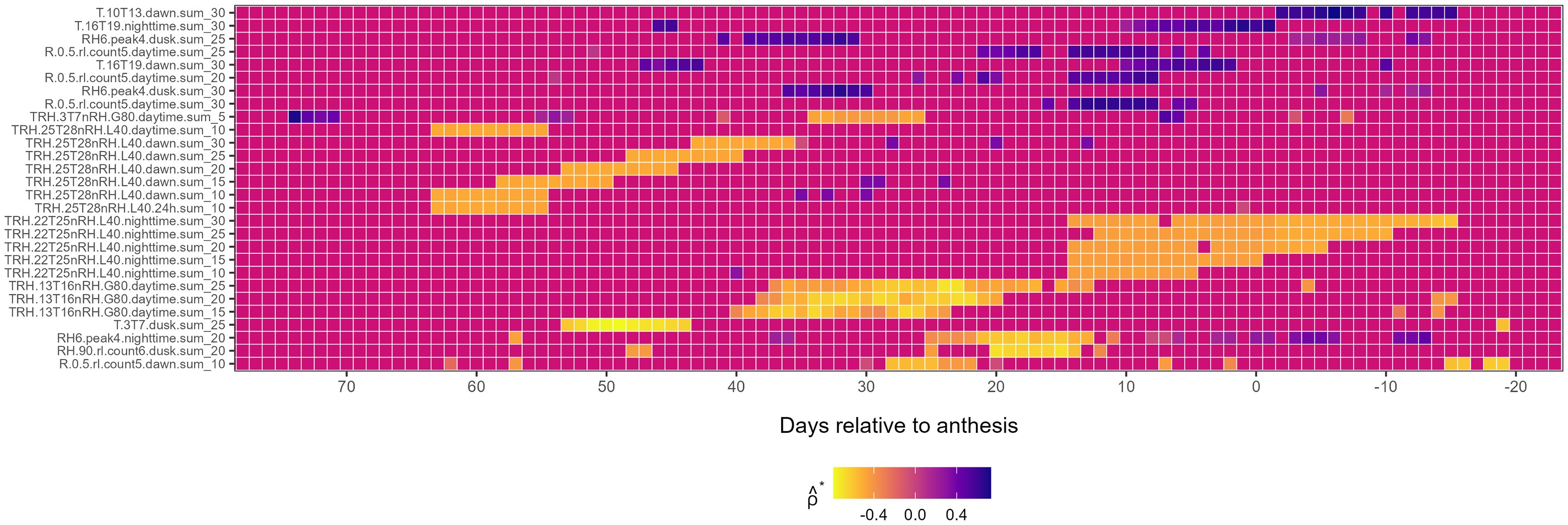 Heatmap of FA3 weather variables (y-axis) conduciveness across time relative to anthesis (x-axis). Color scale, from blue to yellow, indicates positive to negative correlations.