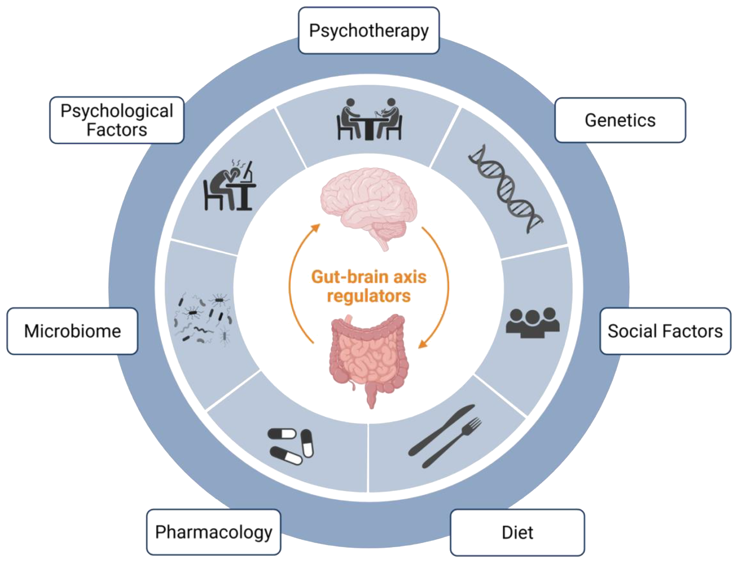 Diagram illustrating gut-brain axis regulators. Central images of brain and gut with arrows. Surrounding segments labeled: Psychotherapy, Genetics, Social Factors, Diet, Pharmacology, Microbiome, and Psychological Factors, represented by icons.