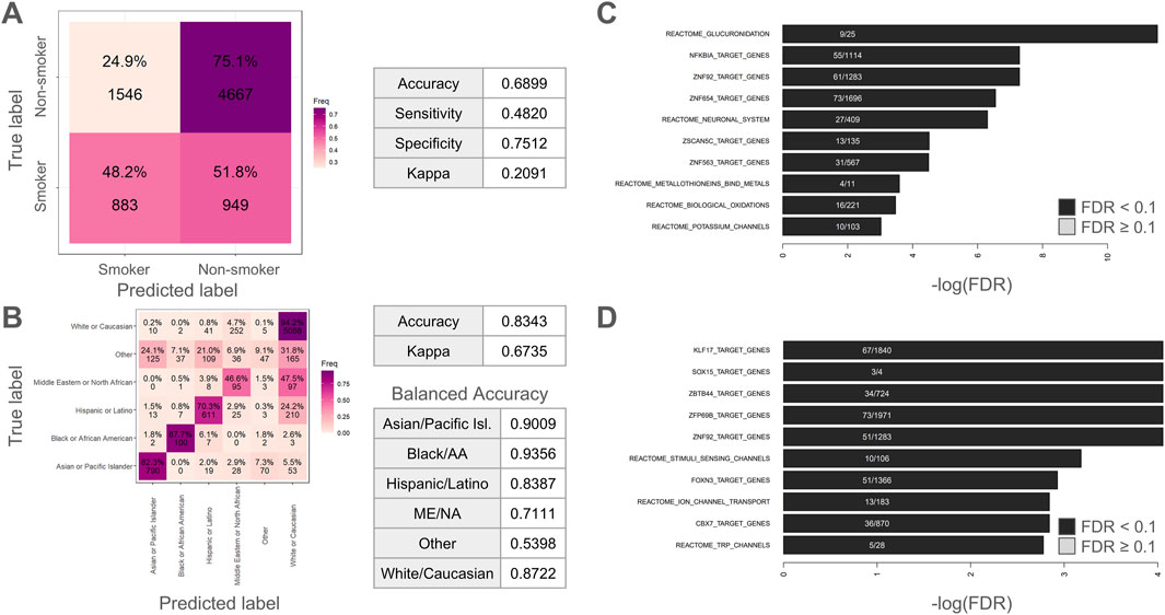 Image comprising four panels: Panel A shows a confusion matrix for smoker prediction with an accuracy of 0.6899, sensitivity of 0.4820, specificity of 0.7512, and kappa of 0.2091. Panel B presents a confusion matrix for different ethnic groups with an accuracy of 0.8343 and kappa of 0.6735. Panel C contains a bar chart of transcription factor gene targets and Reactome pathways with significance levels, where ten pathways have FDR less than 0.1. Panel D is another bar chart showing additional transcription factor gene targets and Reactome pathways, of which only the top three have an FDR less than 0.1.