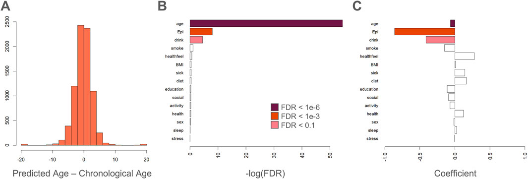 Panel A shows a histogram of the difference between predicted and chronological age, with most values clustering around zero. Panel B displays a bar chart of factors influencing age prediction, with