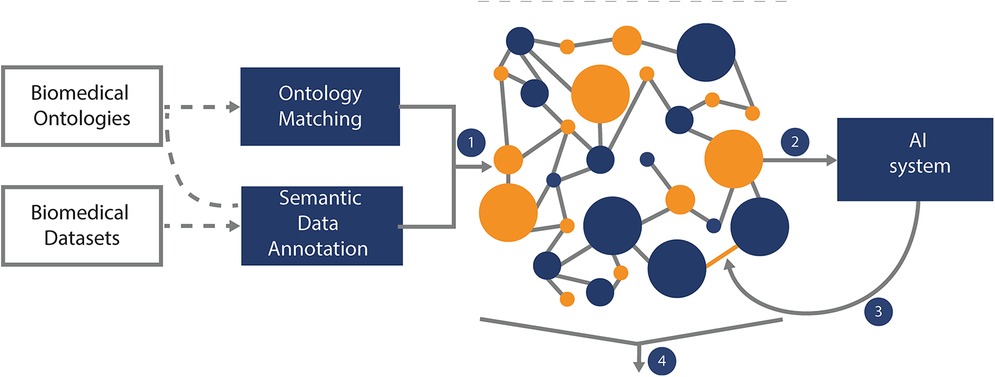 Flowchart illustrating a process involving biomedical ontologies and datasets. These undergo ontology matching and semantic data annotation. Outputs are integrated into a network leading to an AI system. Four numbered steps show the data flow, with interconnected blue and orange circles representing data points.