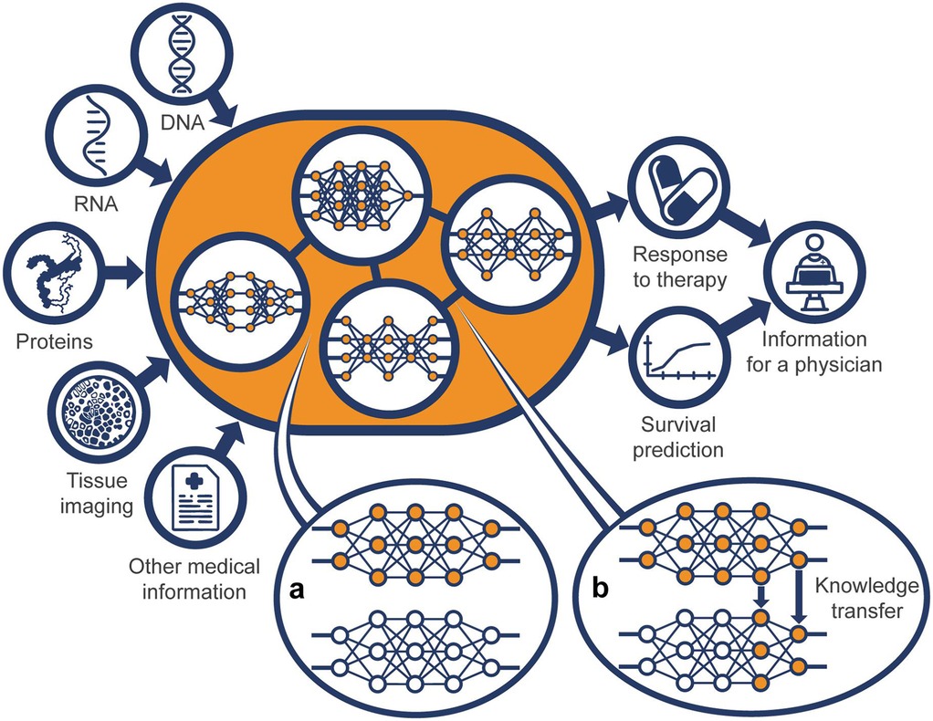 Diagram illustrating a network model using various medical data types like DNA, RNA, proteins, tissue imaging, and other information to predict outcomes such as therapy response, survival prediction, and provide information for physicians. Two sections, labeled \