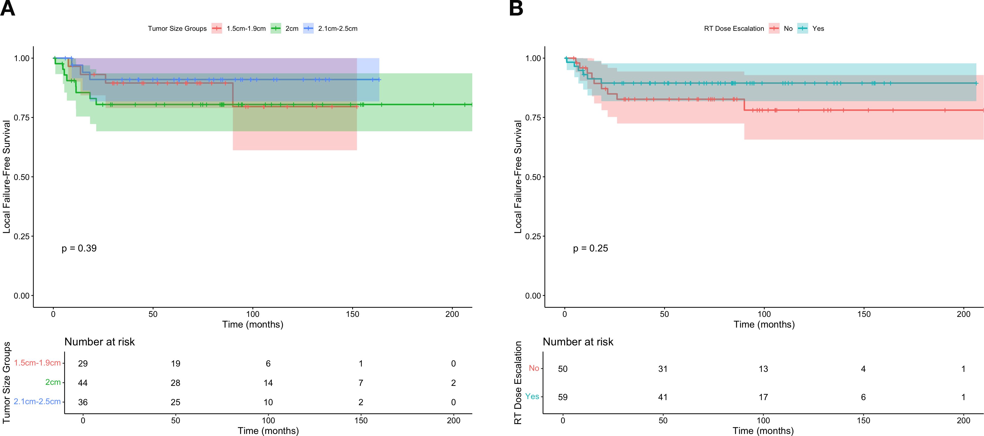 Kaplan-Meier survival curves showing survival probabilities over time. Plot A compares tumor size groups: 1.5 cm to 1.9 cm, 2 cm, and 2.1 cm to 2.5 cm, with a p-value of 0.39. Plot B compares radiation therapy dose escalation with and without escalation, showing a p-value of 0.25. Both plots include a “Number at Risk” table below, detailing the number of participants remaining at intervals for each group.