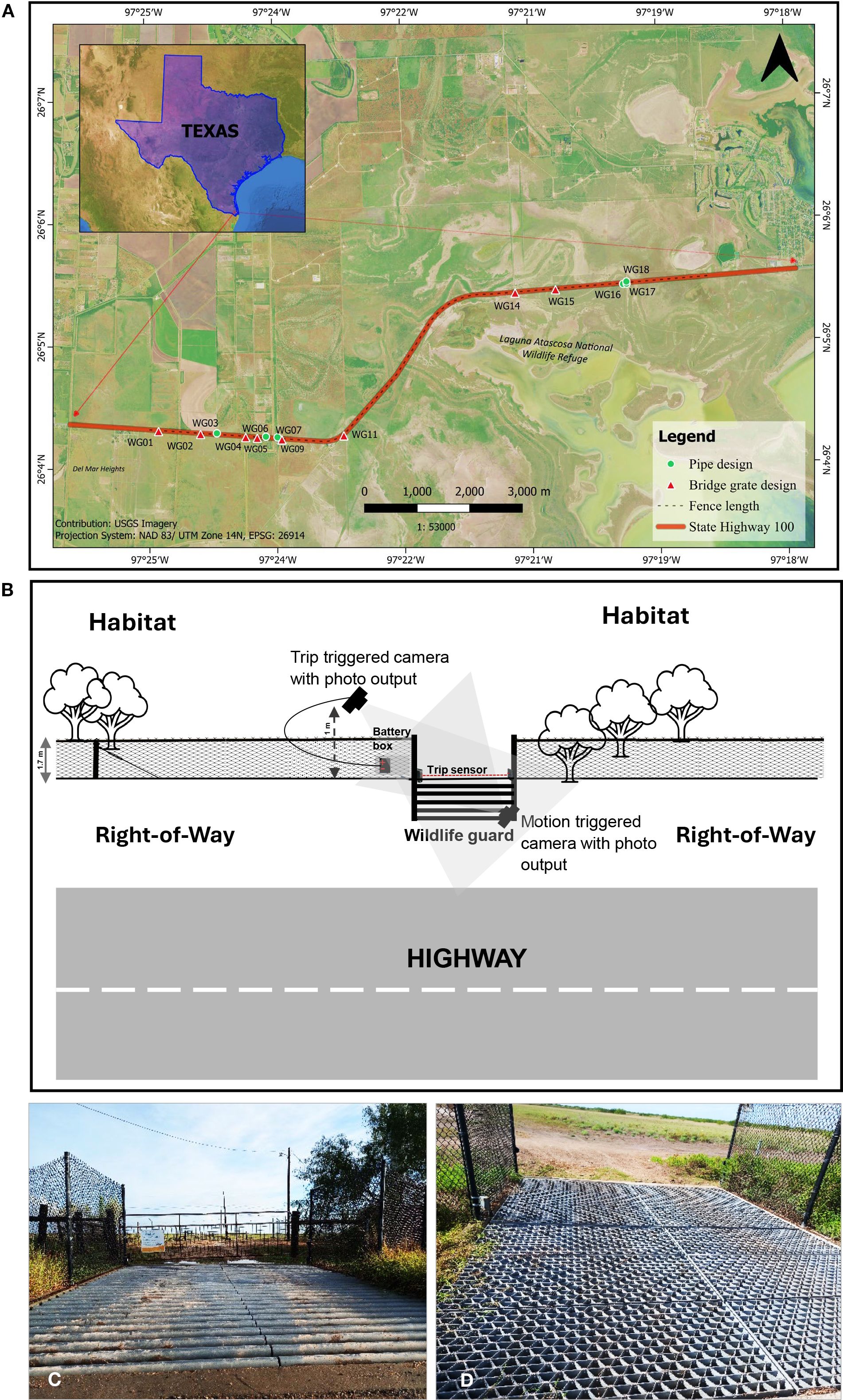 Map of SH 100 road with pipe designs, bridge grates, and fence lengths in Texas. Diagram shows camera trap setup on a wildlife guard site. Photos display metal pipe and bridge grate wildlife guard designs in a fenced highway at SH100.