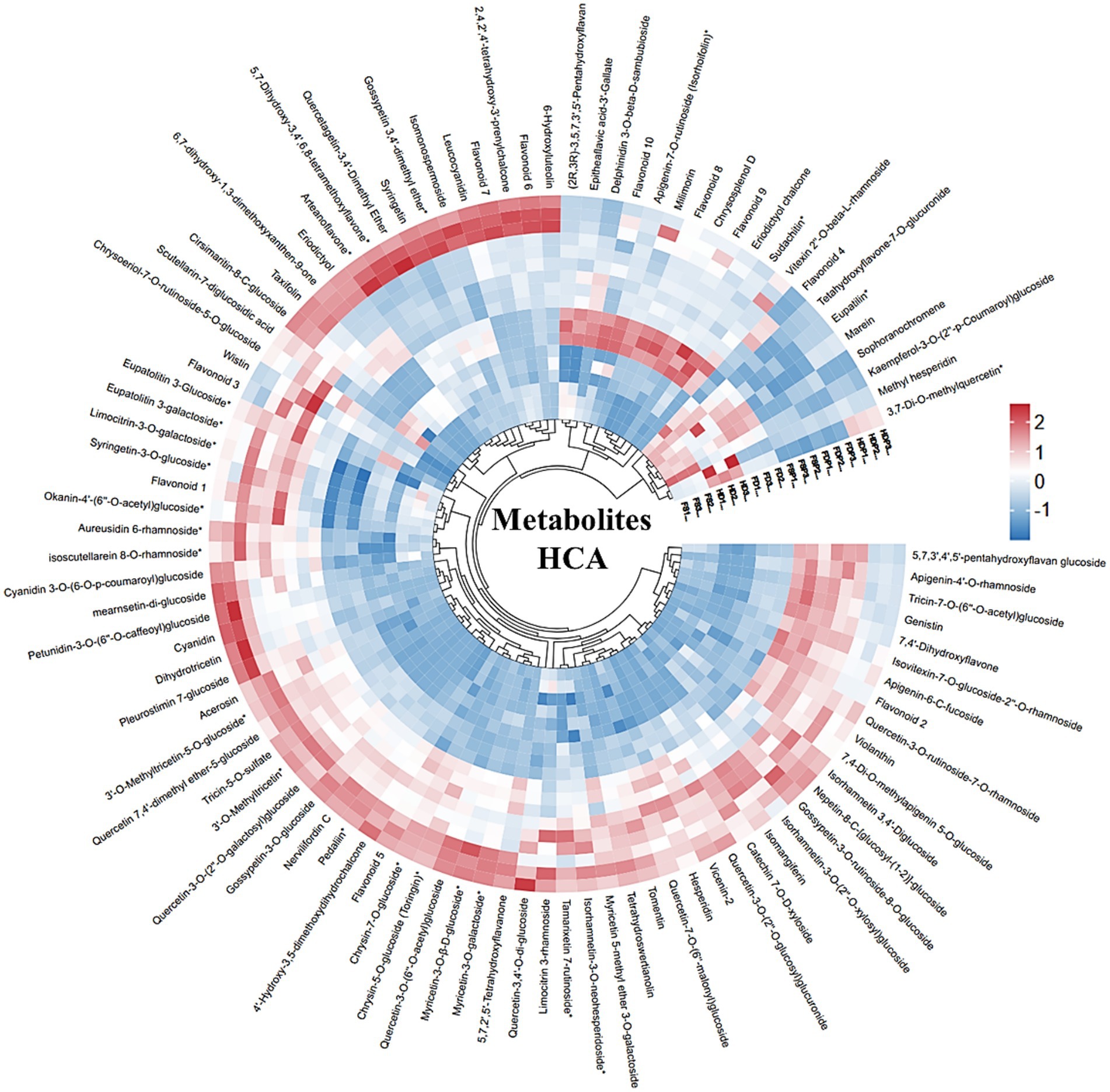 Circular heatmap showing hierarchical clustering of metabolites labeled