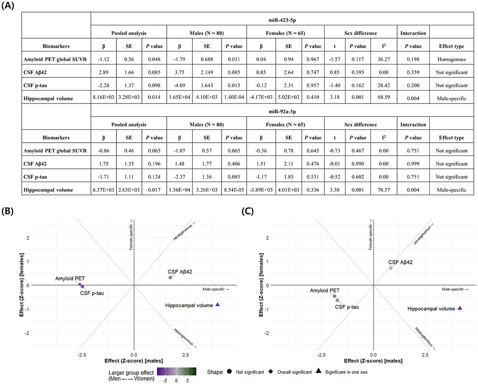 (A) A table displaying results from pooled analysis for biomarkers related to miR-423-5p and miR-92a-3p. Findings include β, SE, and P values for both males and females, with sex differences and interactions noted. Various biomarkers, including Amyloid PET and CSF levels, are classified by effect type.(B) A scatter plot showing the effect Z-scores for males and females for different biomarkers, such as Amyloid PET and CSF Aβ42. Differentiates larger group effects by shape and color.(C) Similar scatter plot to (B) for other markers, highlighting sex-specific effects and significance levels.